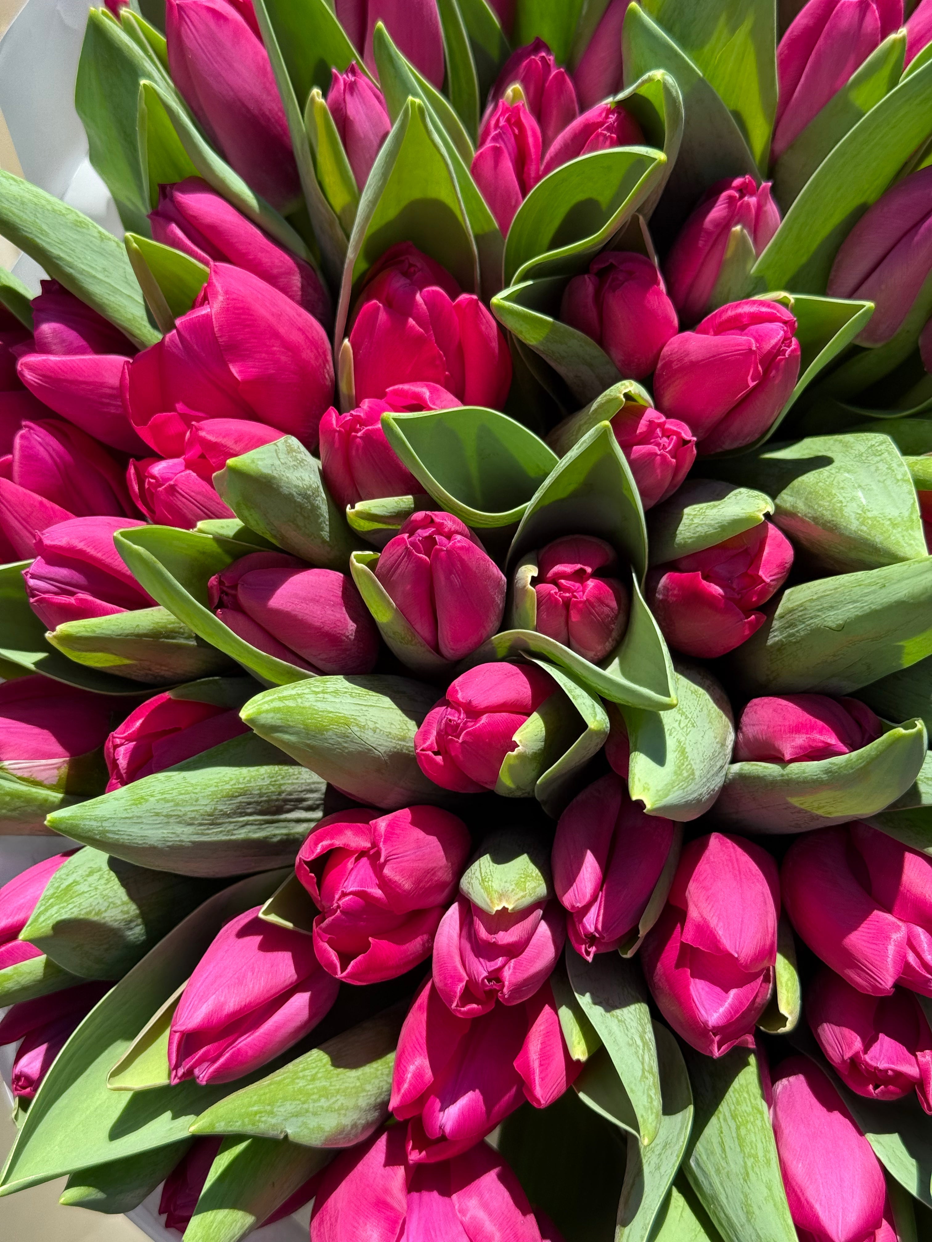 How to keep your flowers fresh when you’re on vacation