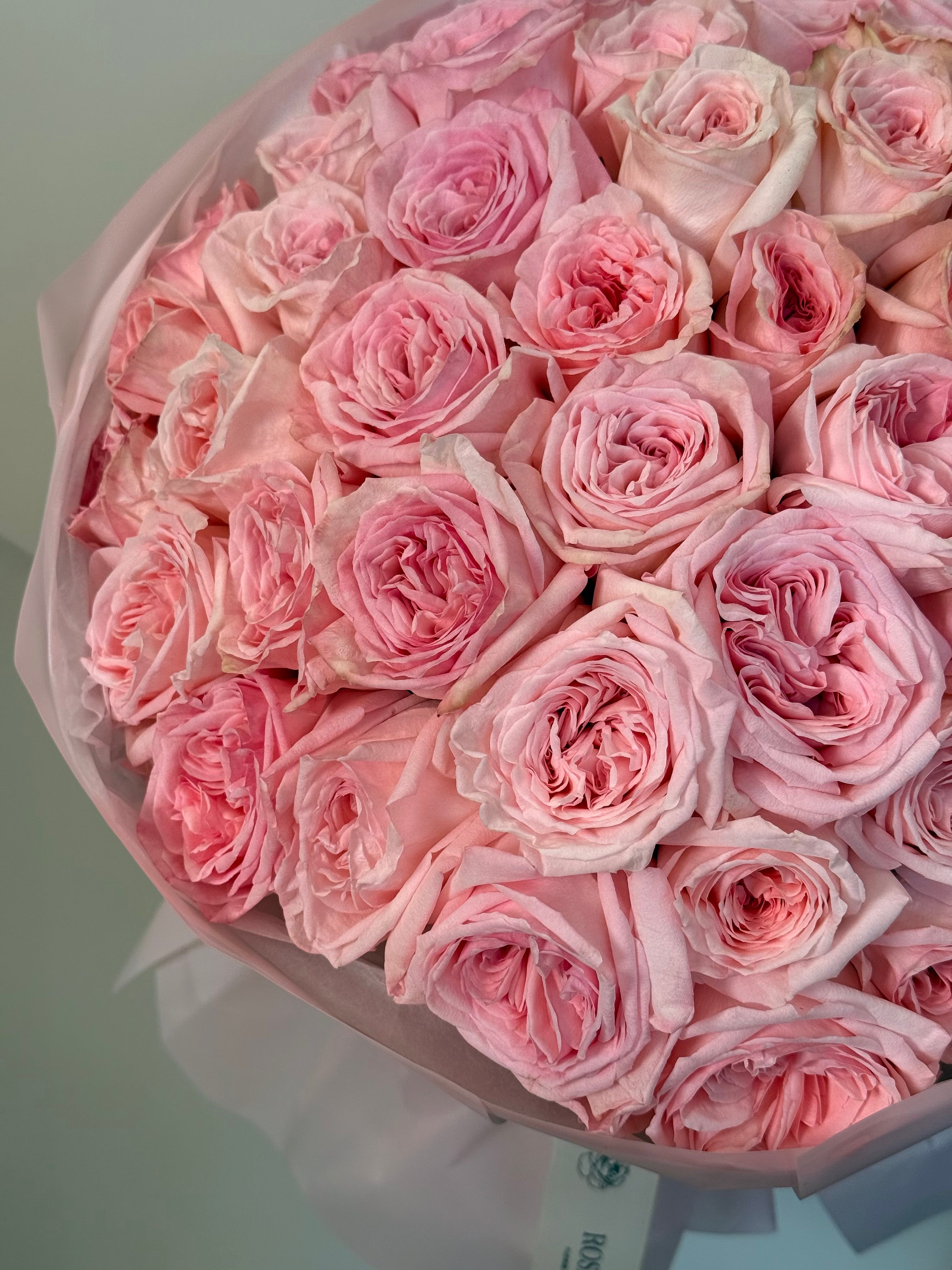 No. 66 IMPERIAL PINK