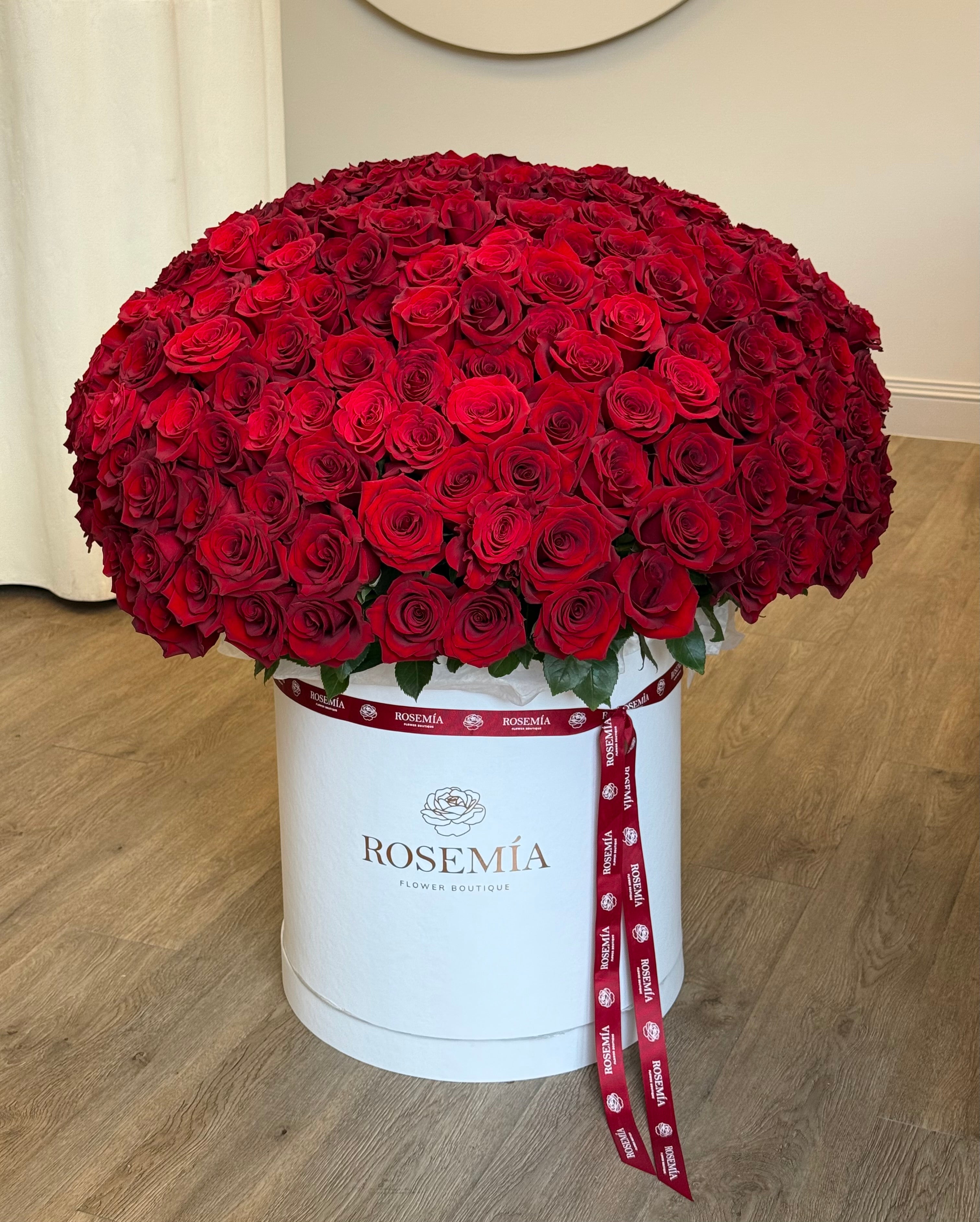 WOW RED ROSES BOX – 300 Roses