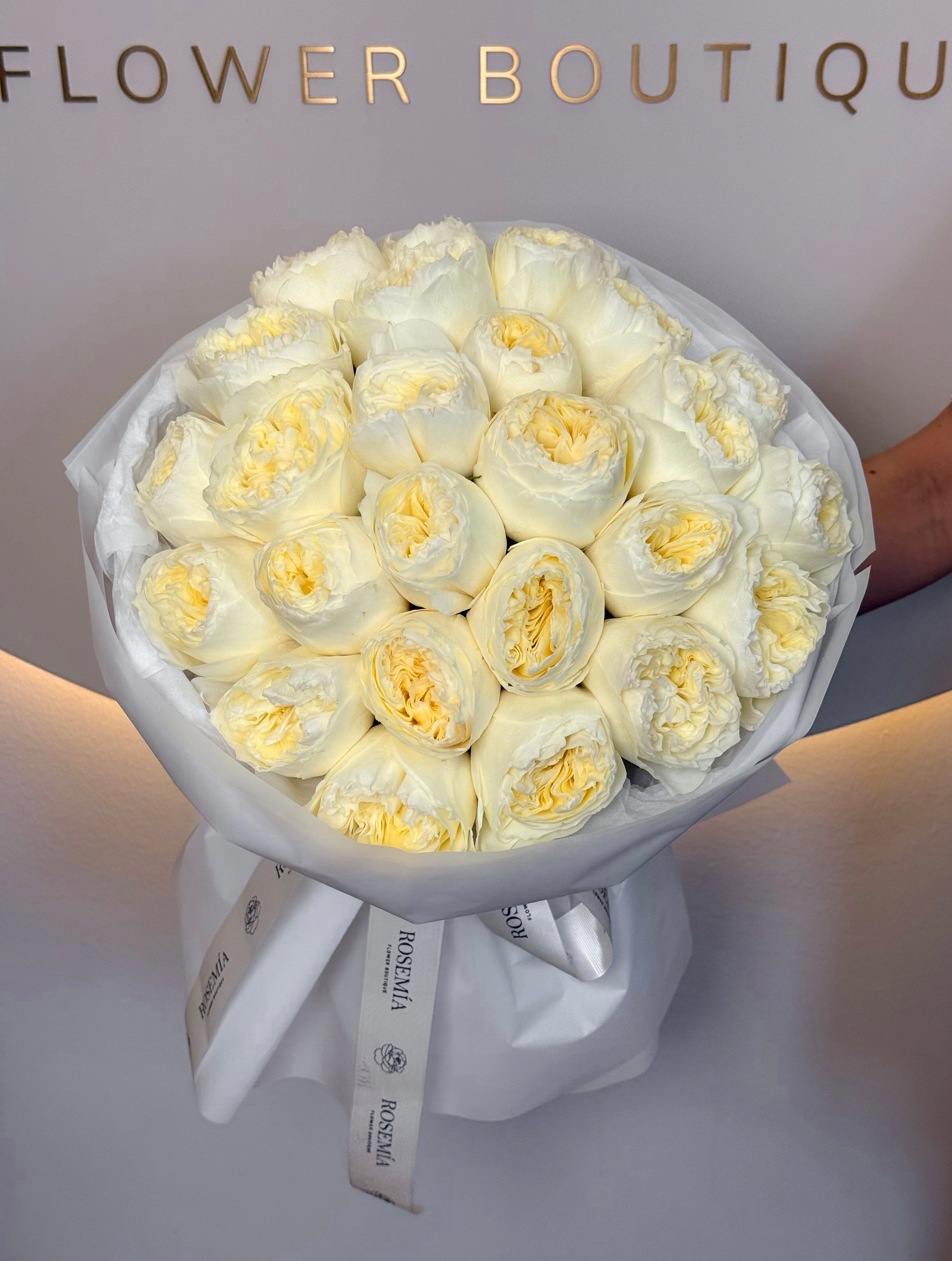 No.102 PEARL - garden roses