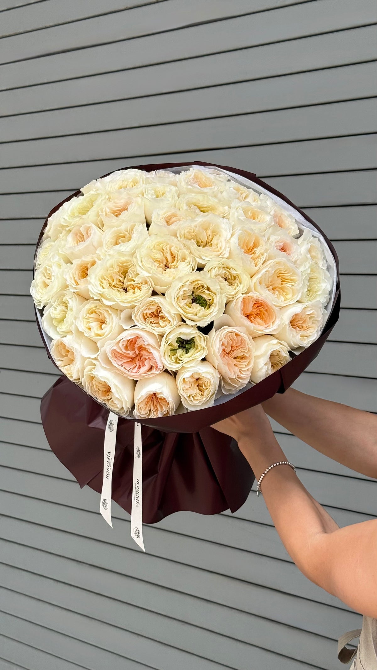 No.245 VICKY GARDENS - garden roses
