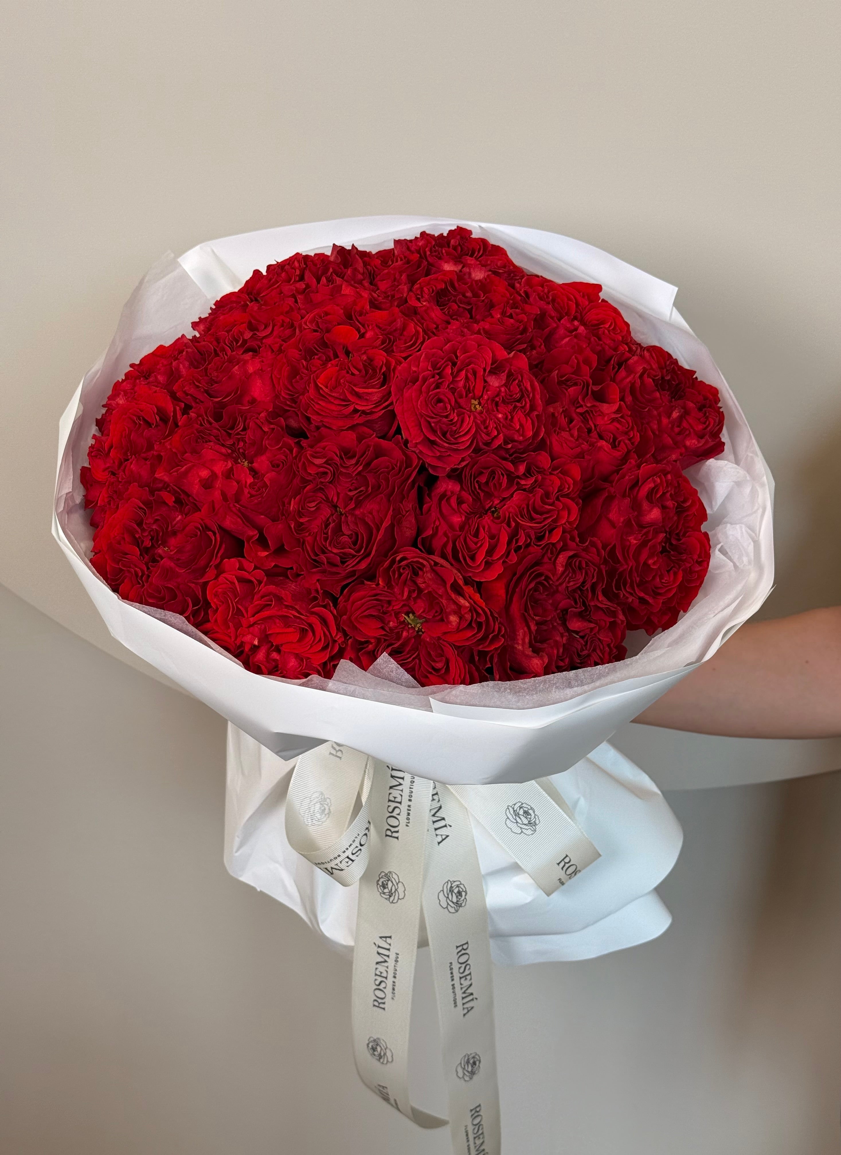 No.63 RED VELVET ROSE