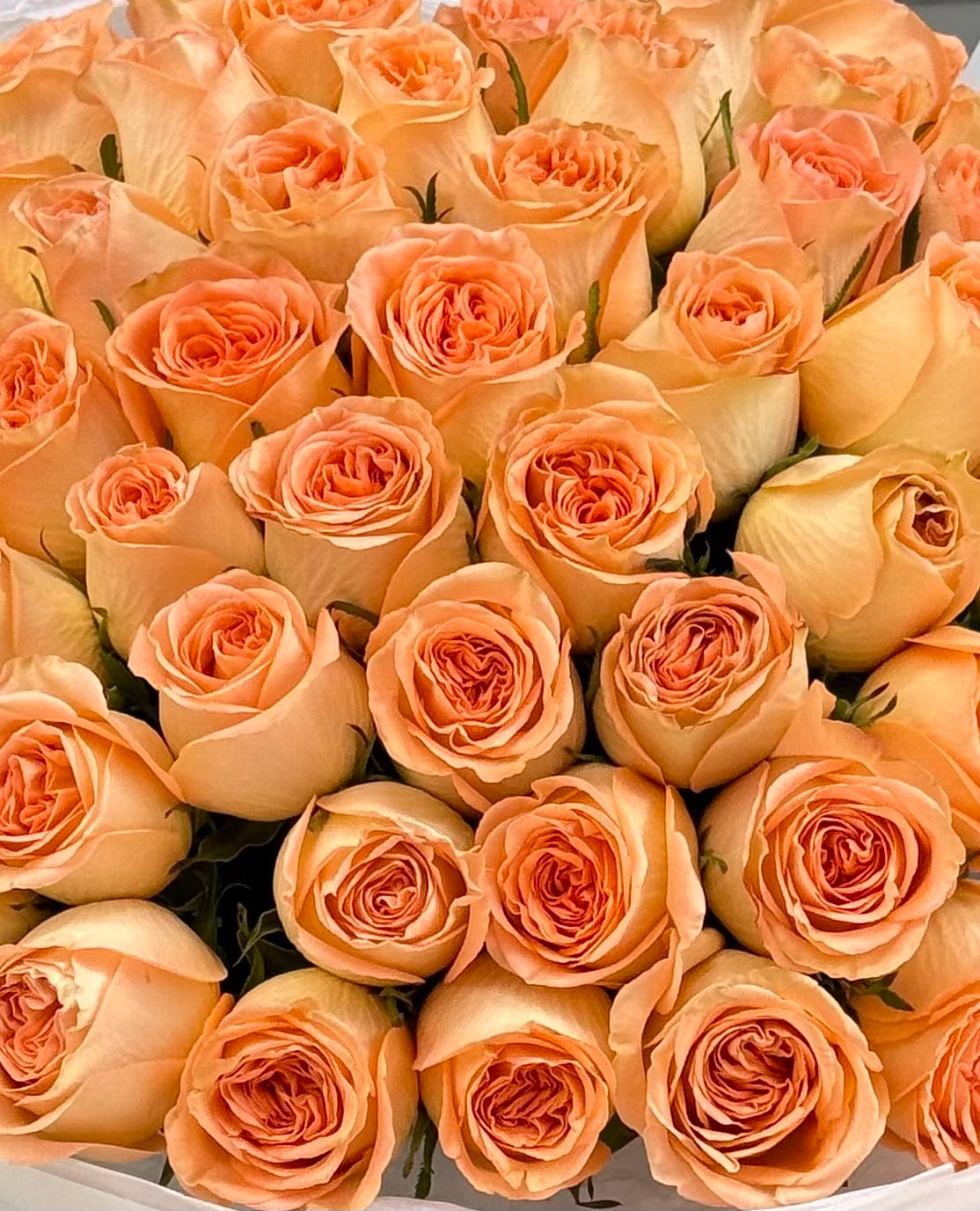 No. 242 COUNTRY HOME - garden roses