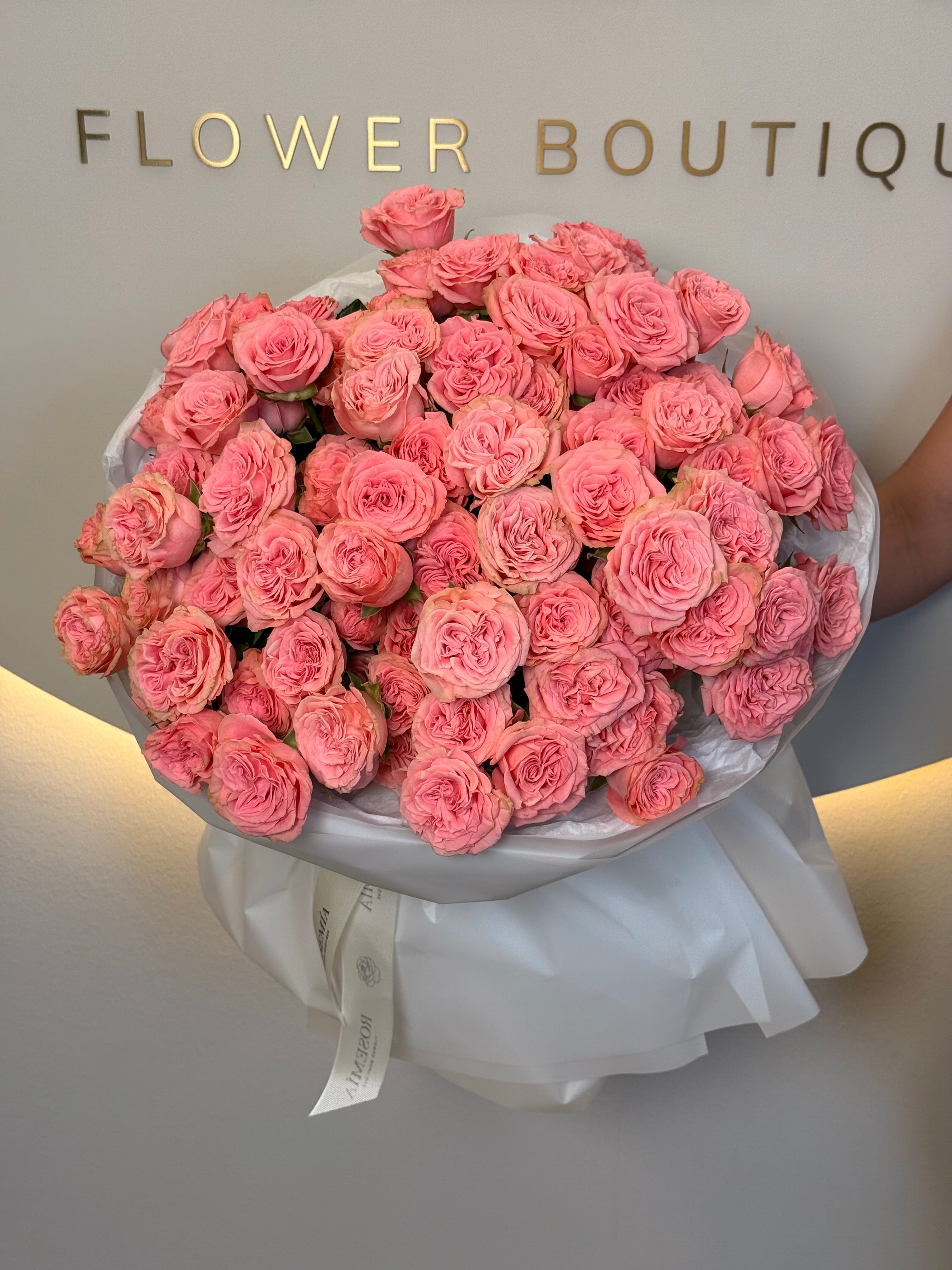 No. 97 PINK TEMPTATION