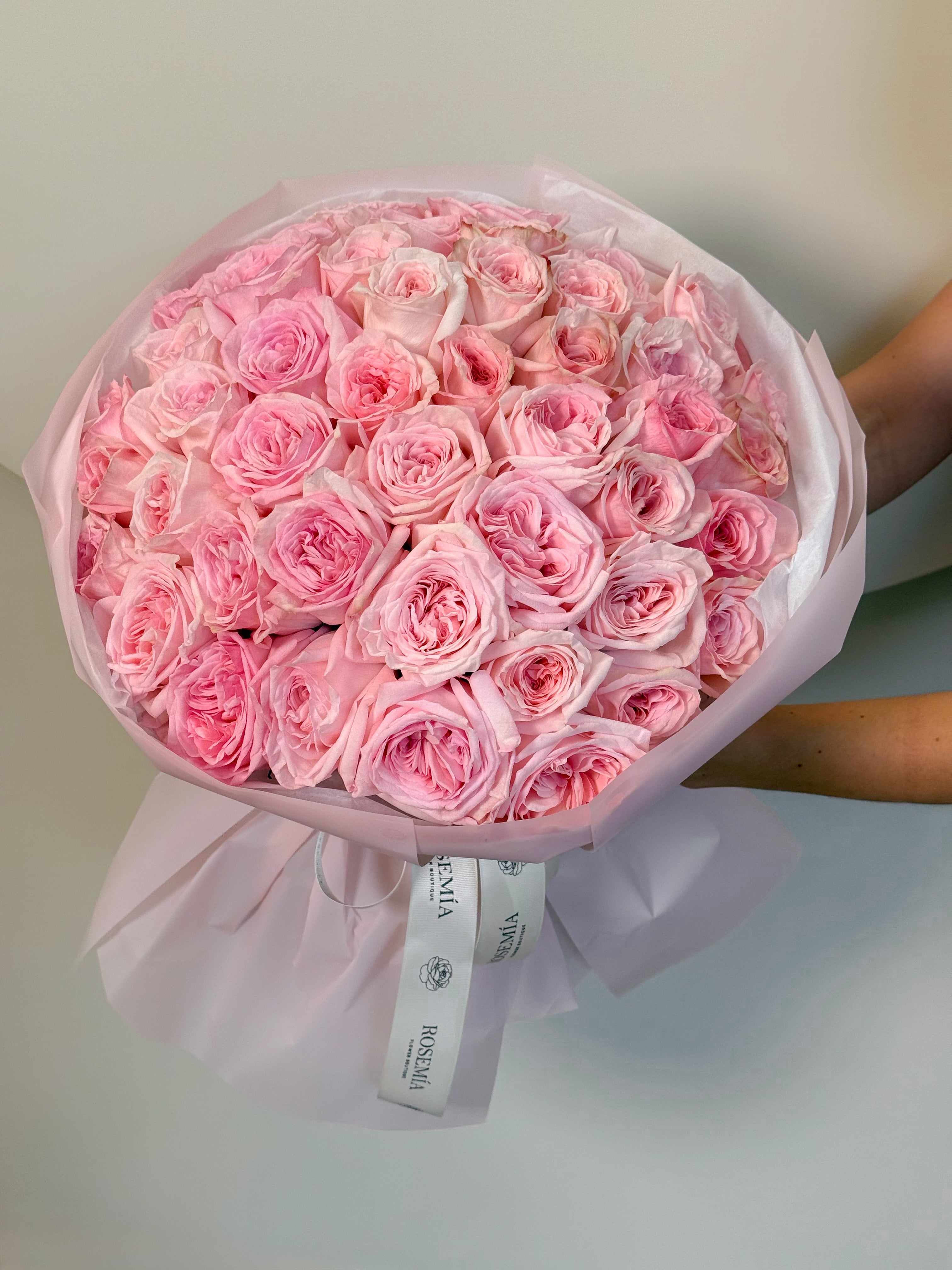 No. 66 IMPERIAL PINK