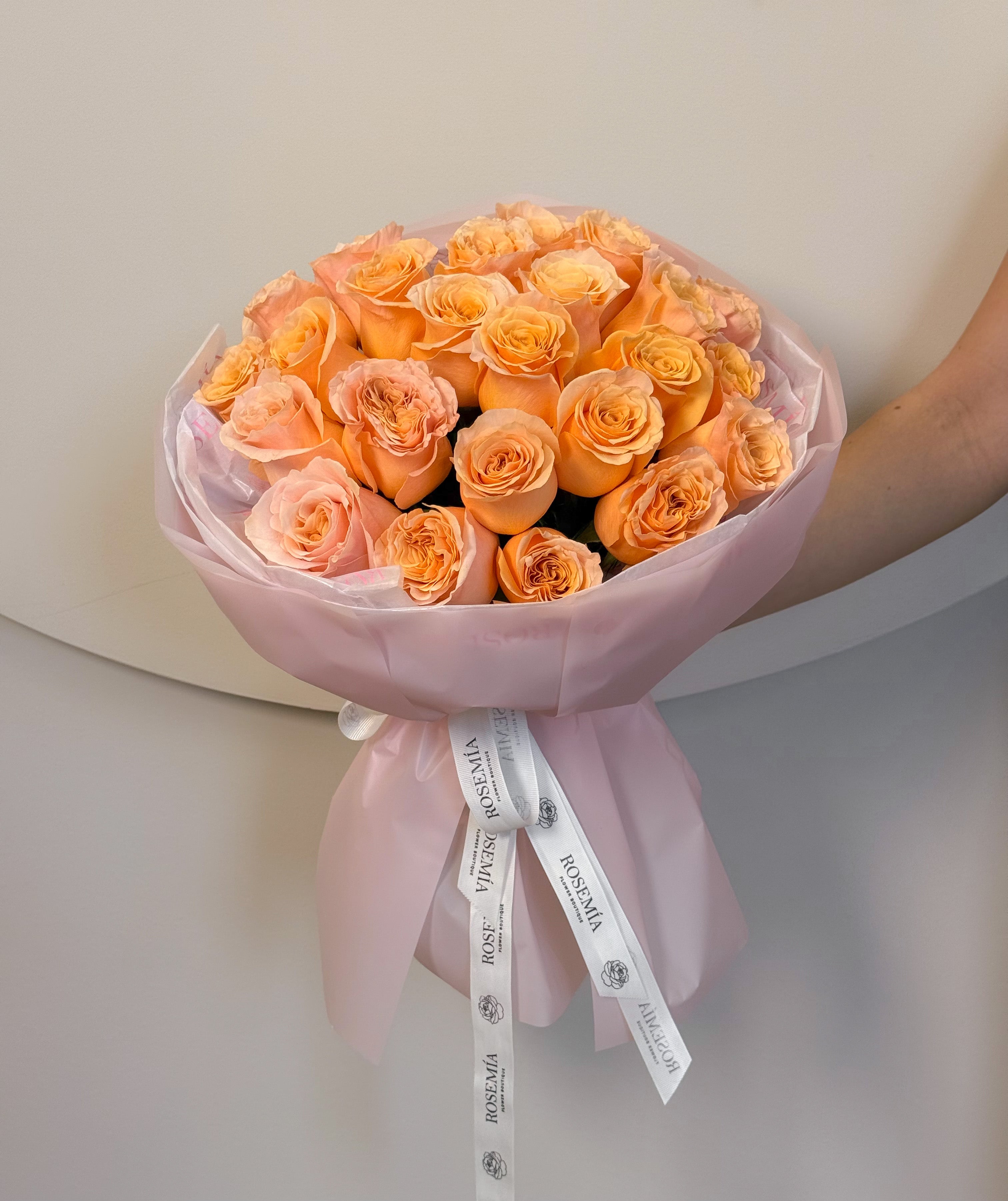 No. 67 SUNRISE CHARM