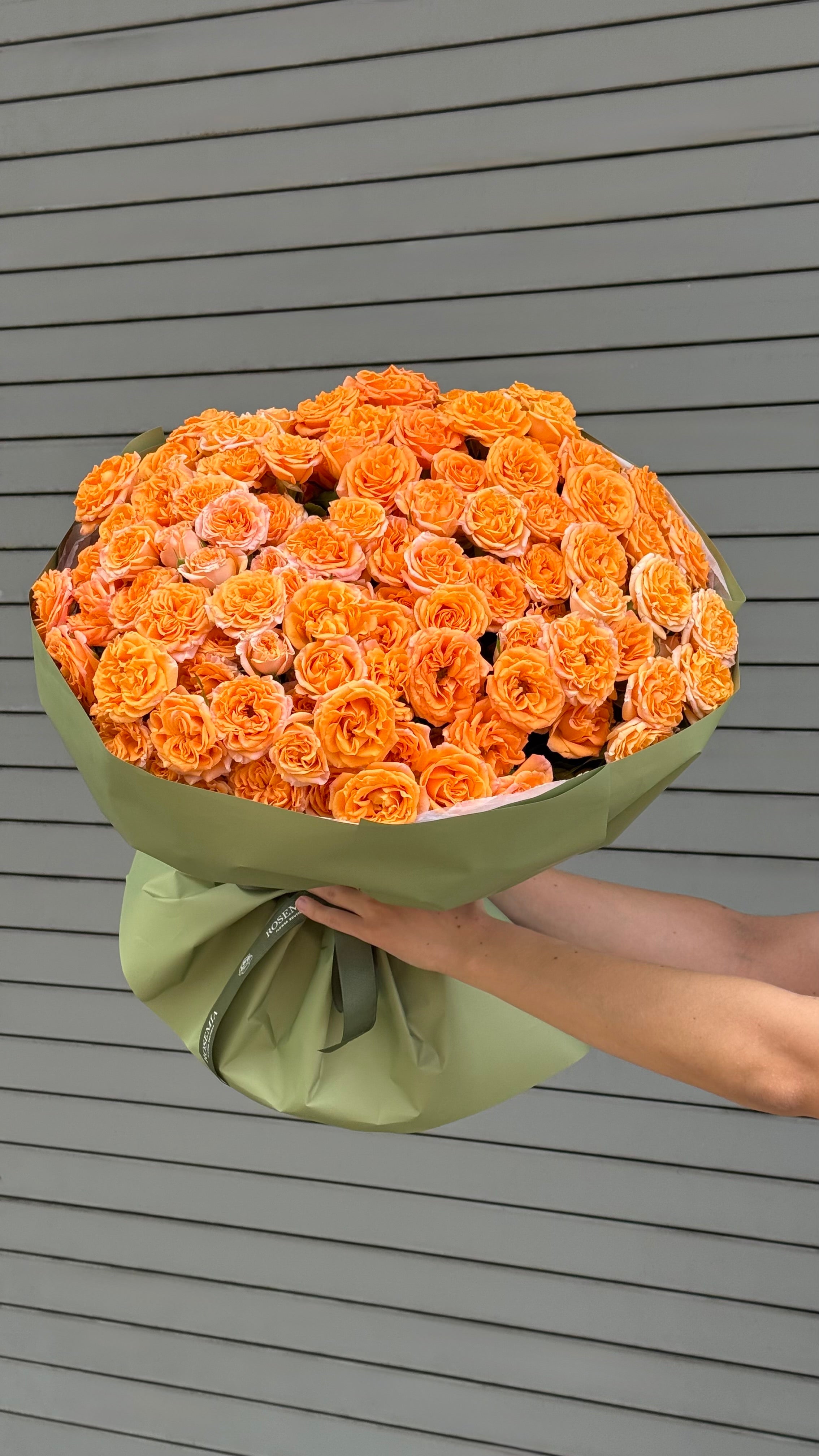 Apricot Couture No.112 – Rose Delivery Hollywood, FL – Rosemia