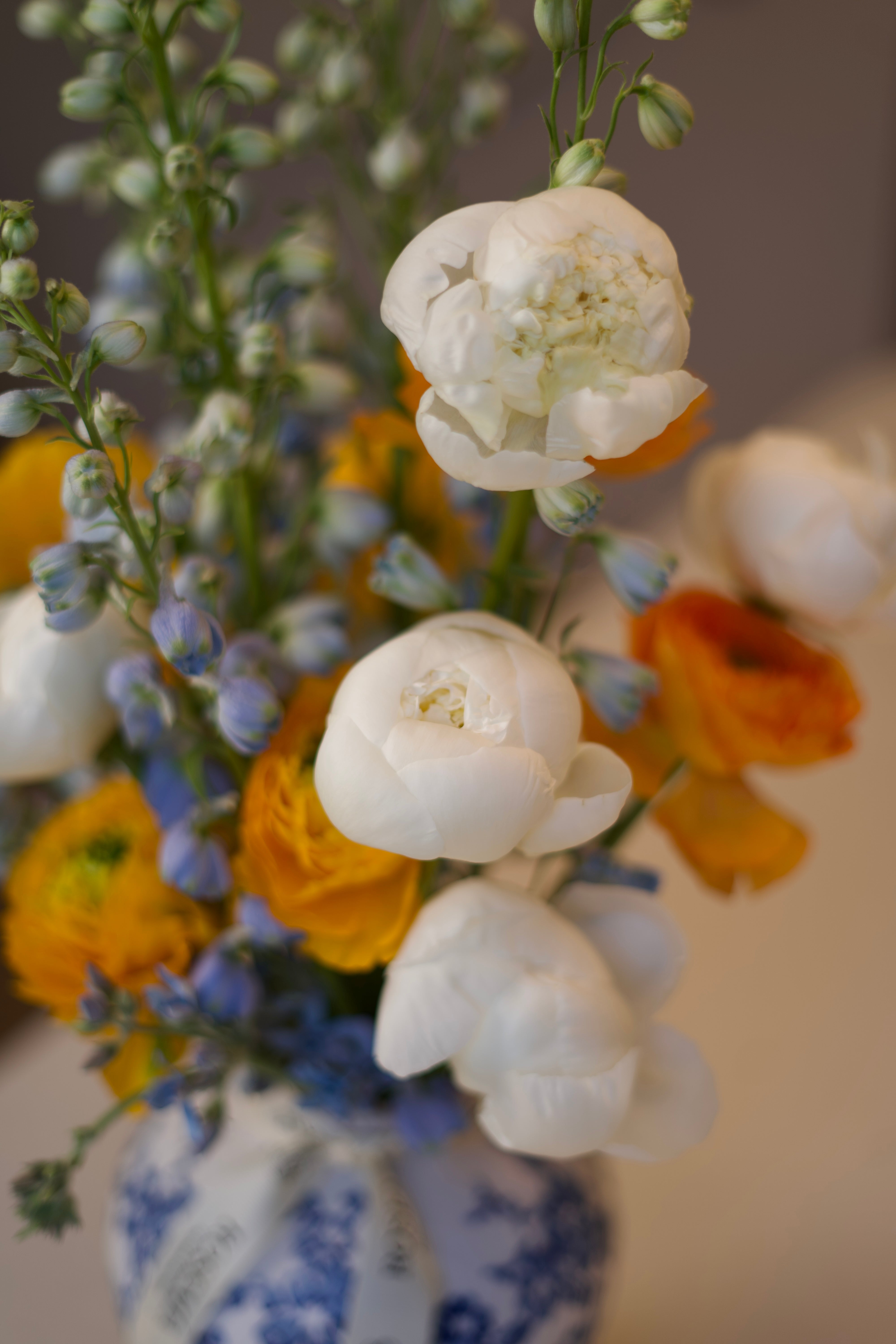 Vase Arrangement - Porcelain Bloom