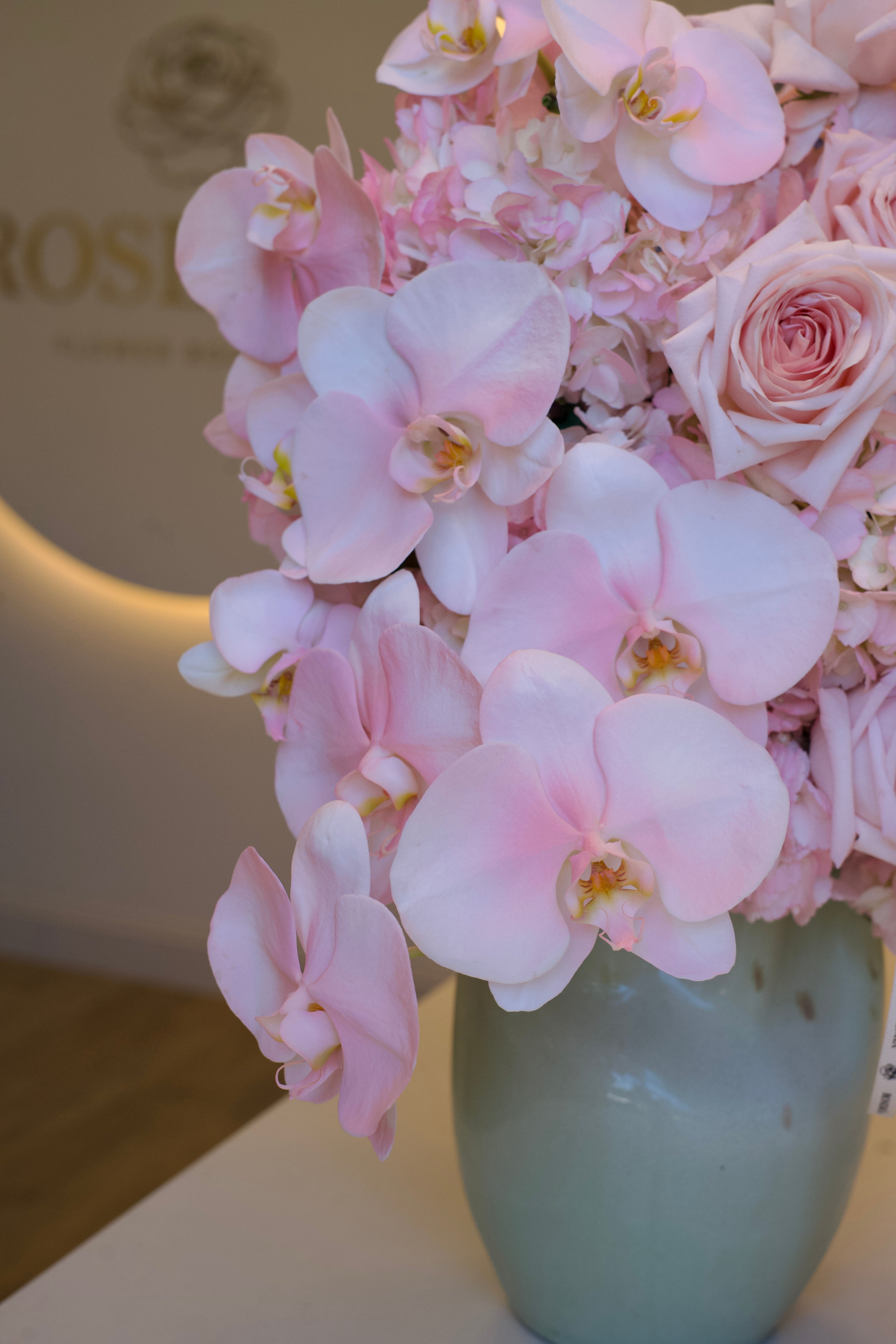 Vase Arrangement - Blush Orchid