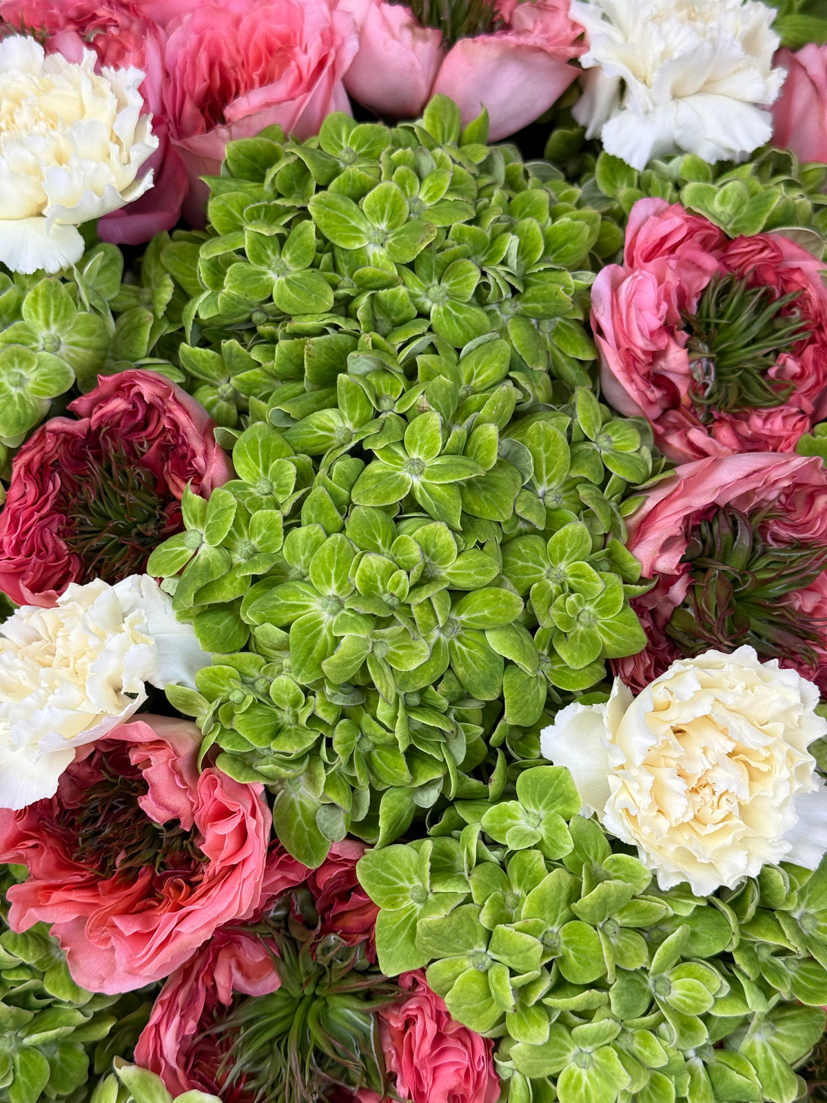 No.91 GREEN COUTURE - hydrangeas, garden roses
