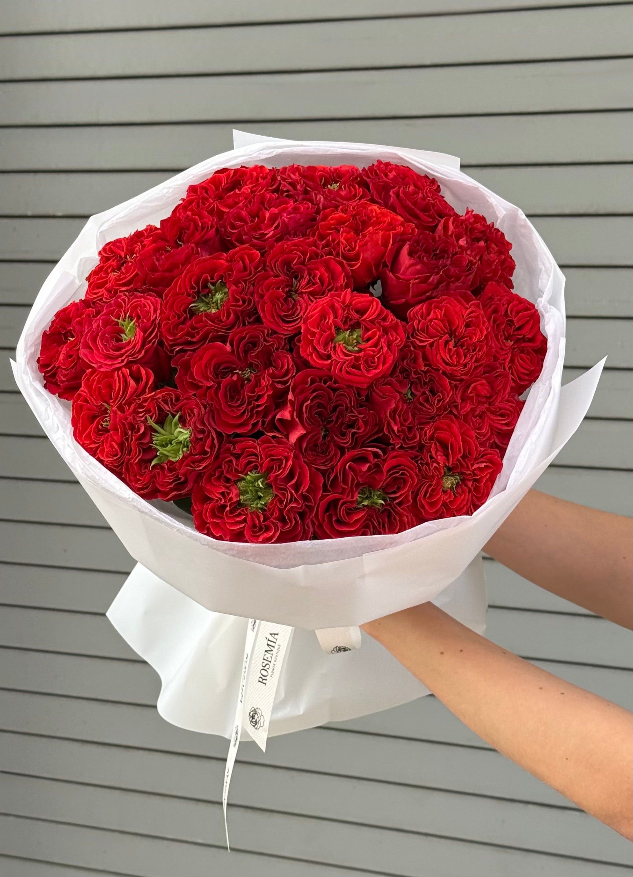 No.63 RED VELVET - roses