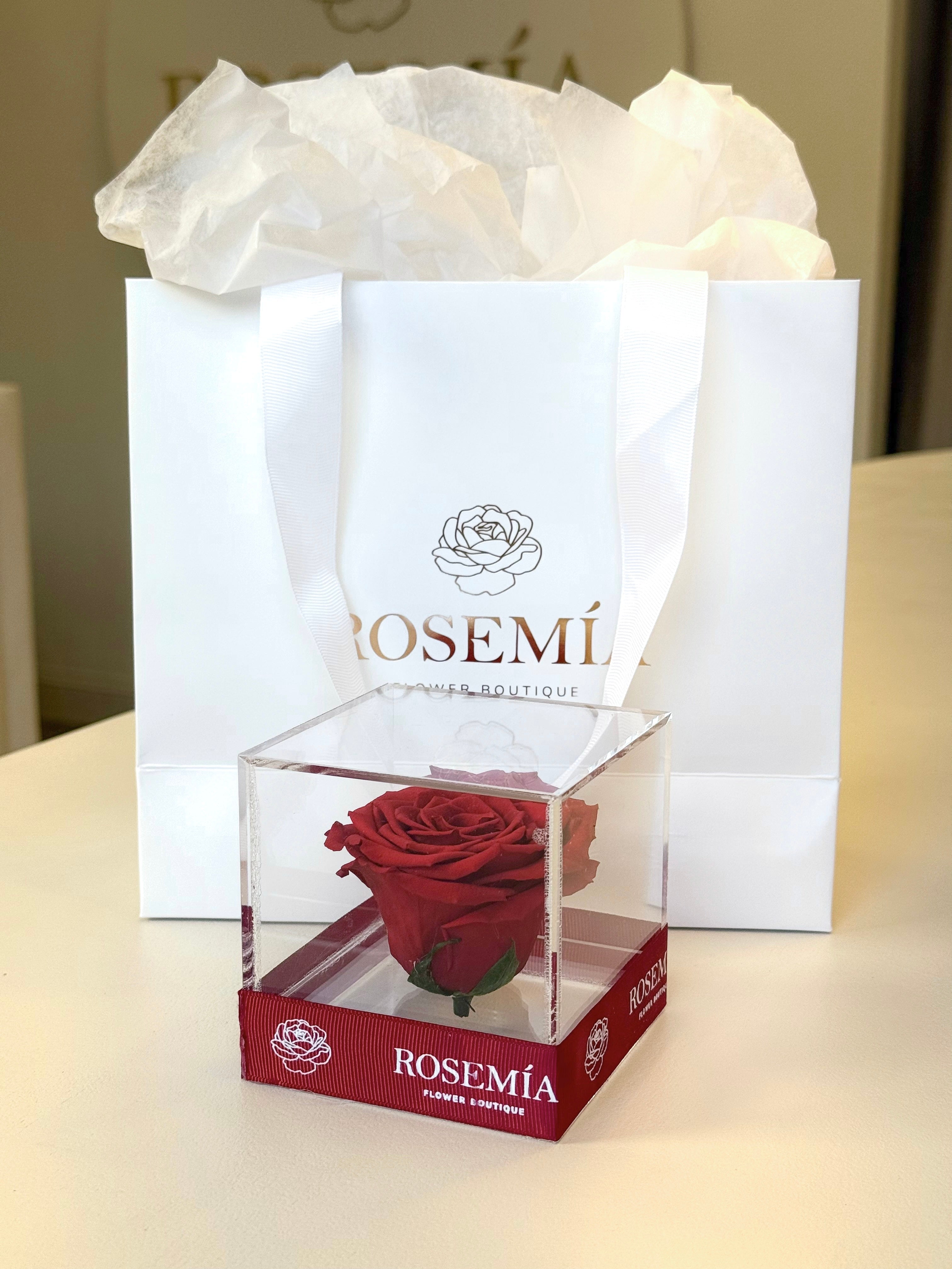 No.179 LOVE IN A CUBE