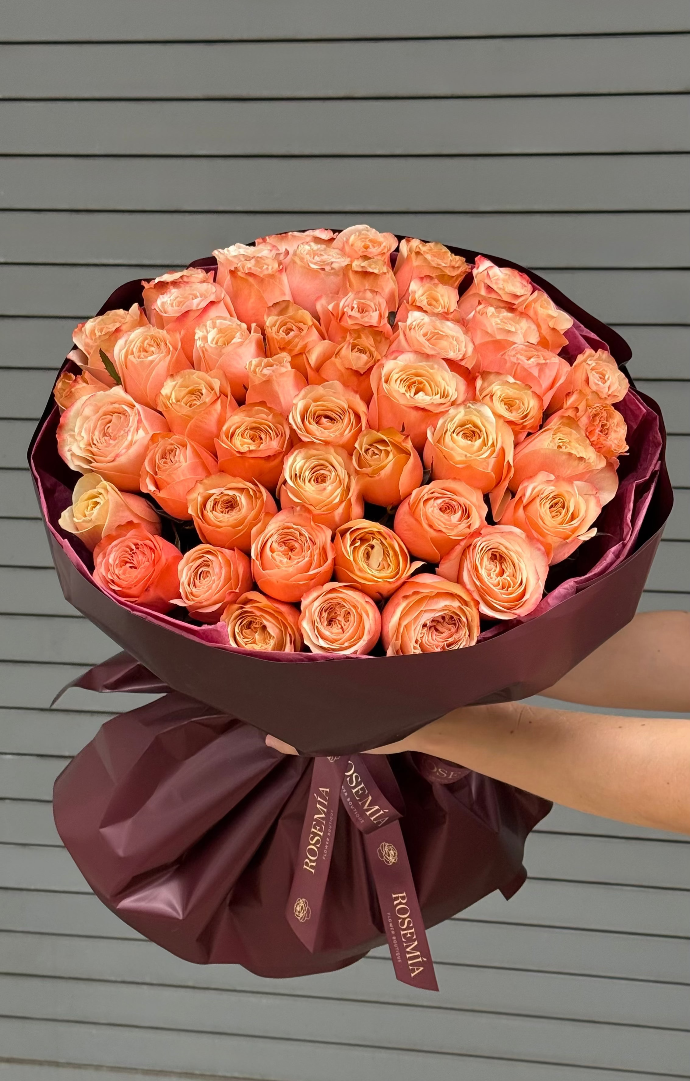 No.208 KAHALA SUNSET - garden roses