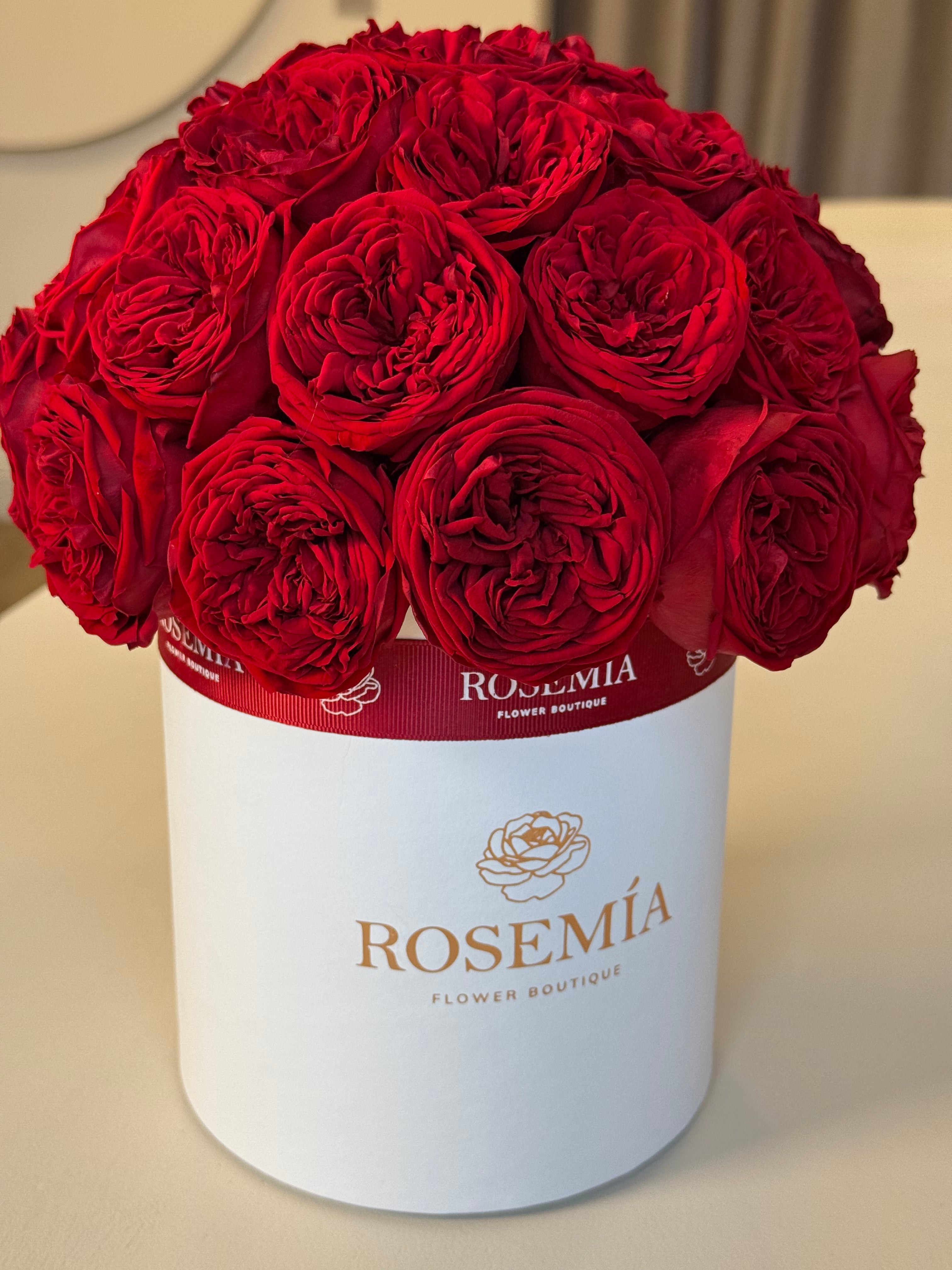 No.181 CRIMSON GARDEN ROSE