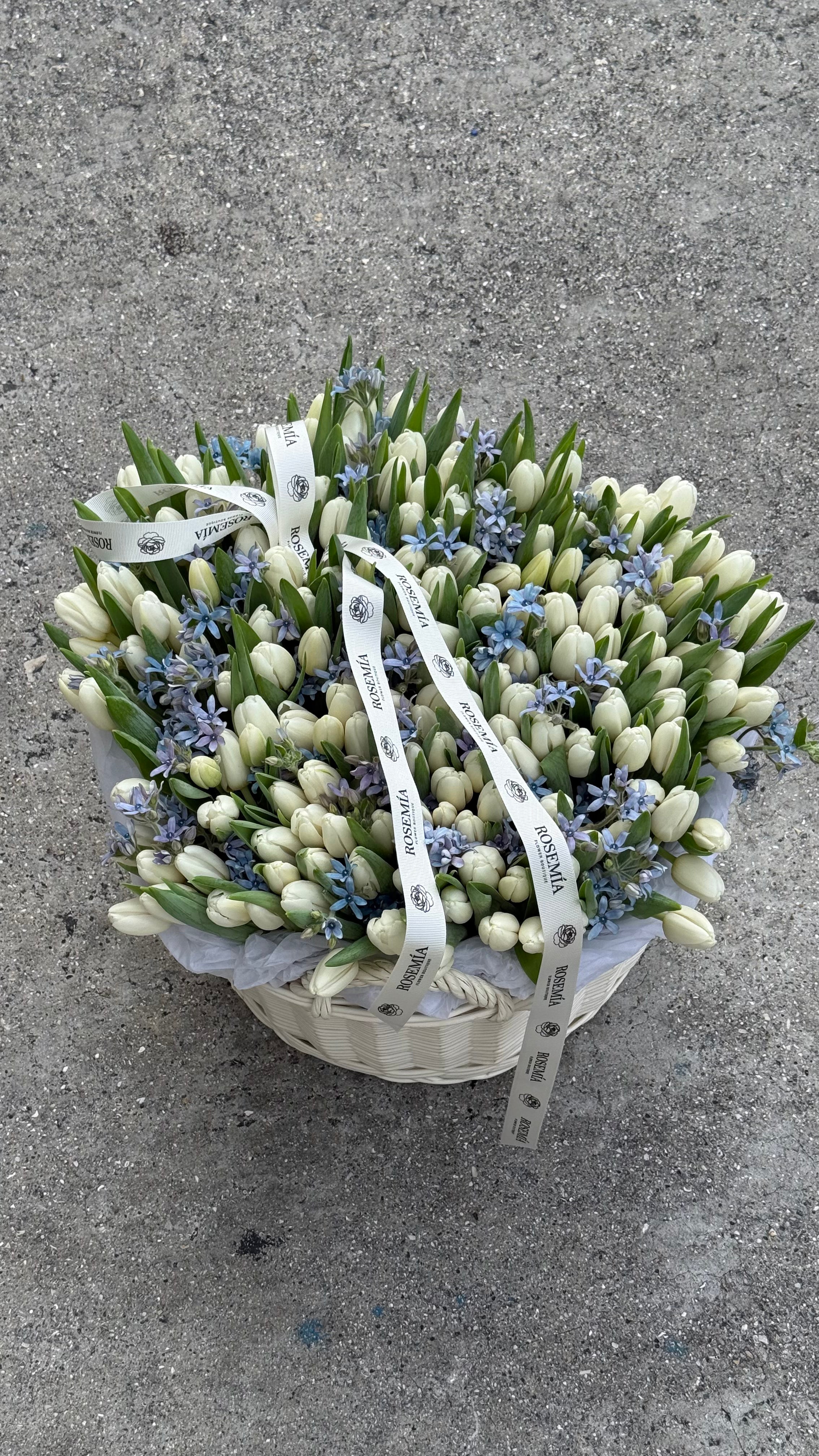 N.º 206 150 TULIPANES EN UNA CESTA