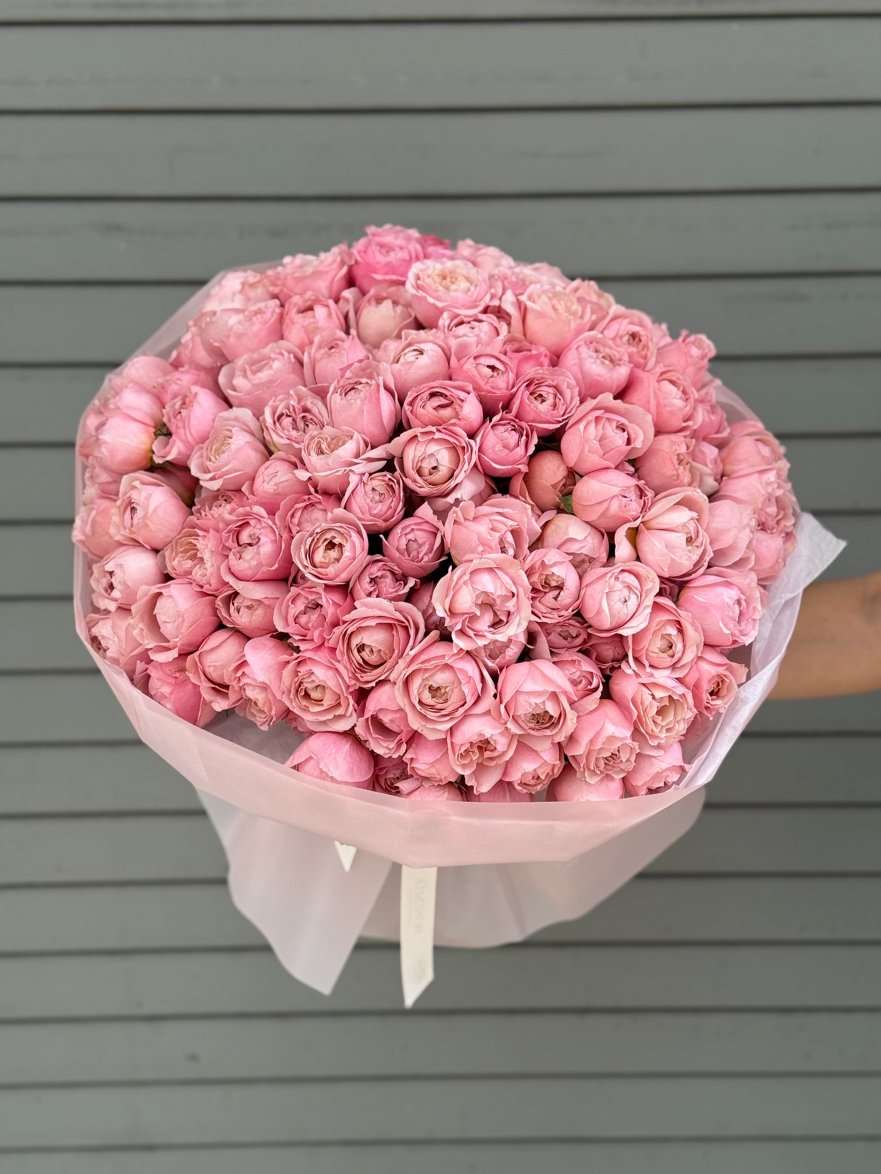 No.171 JULIETTE - garden spray roses