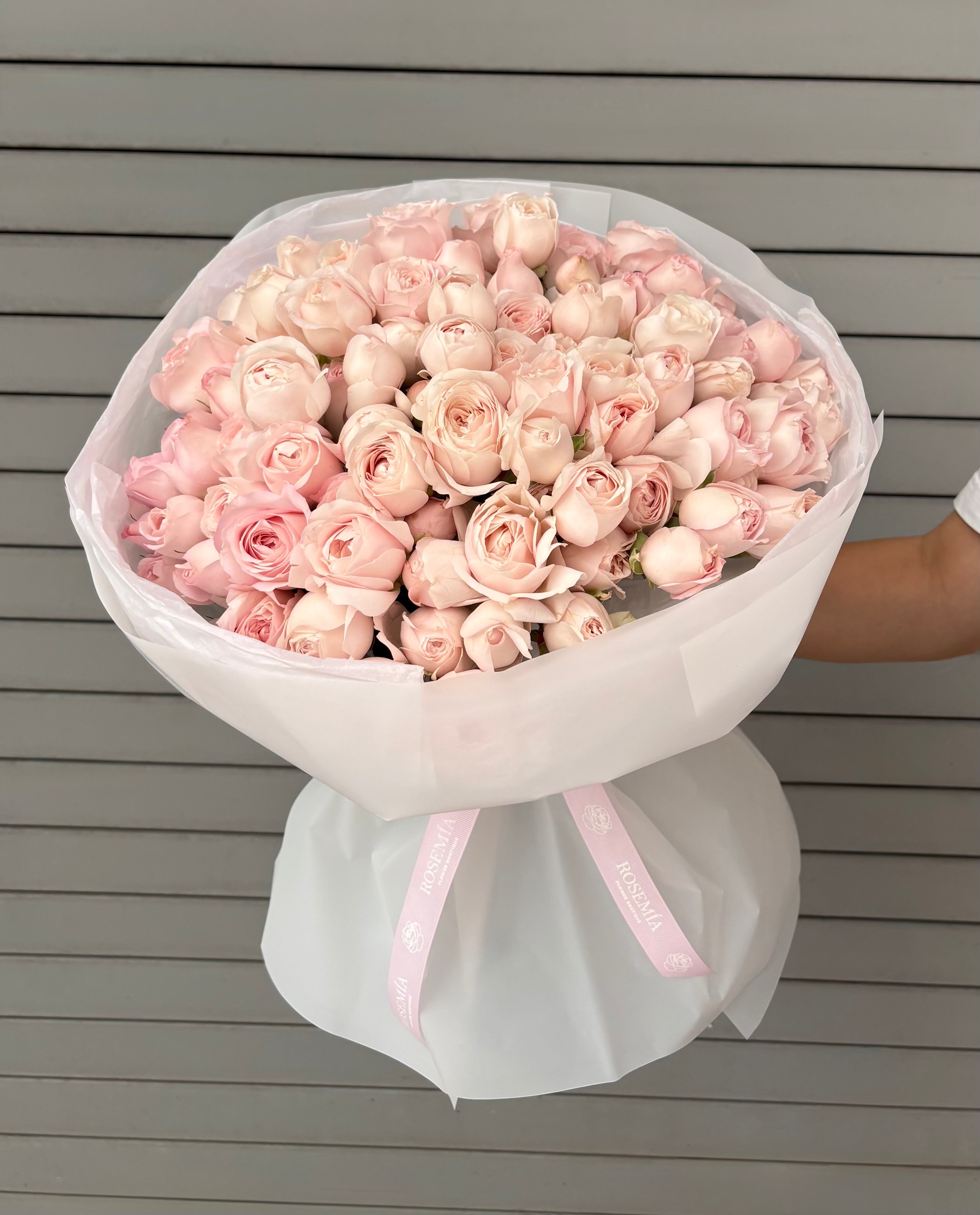 No. 247 FAIRY KISS - garden spray roses