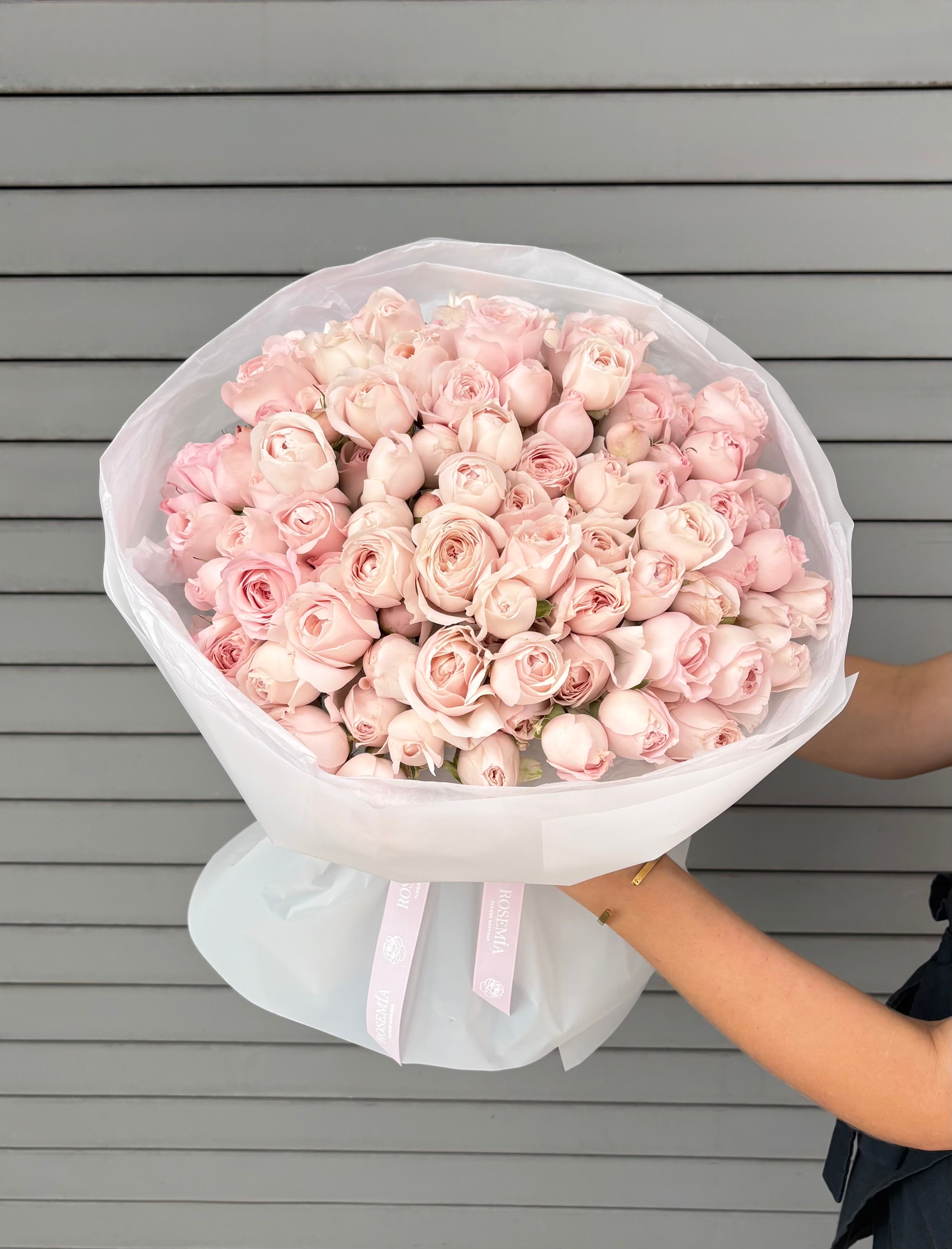 No. 247 FAIRY KISS - garden spray roses