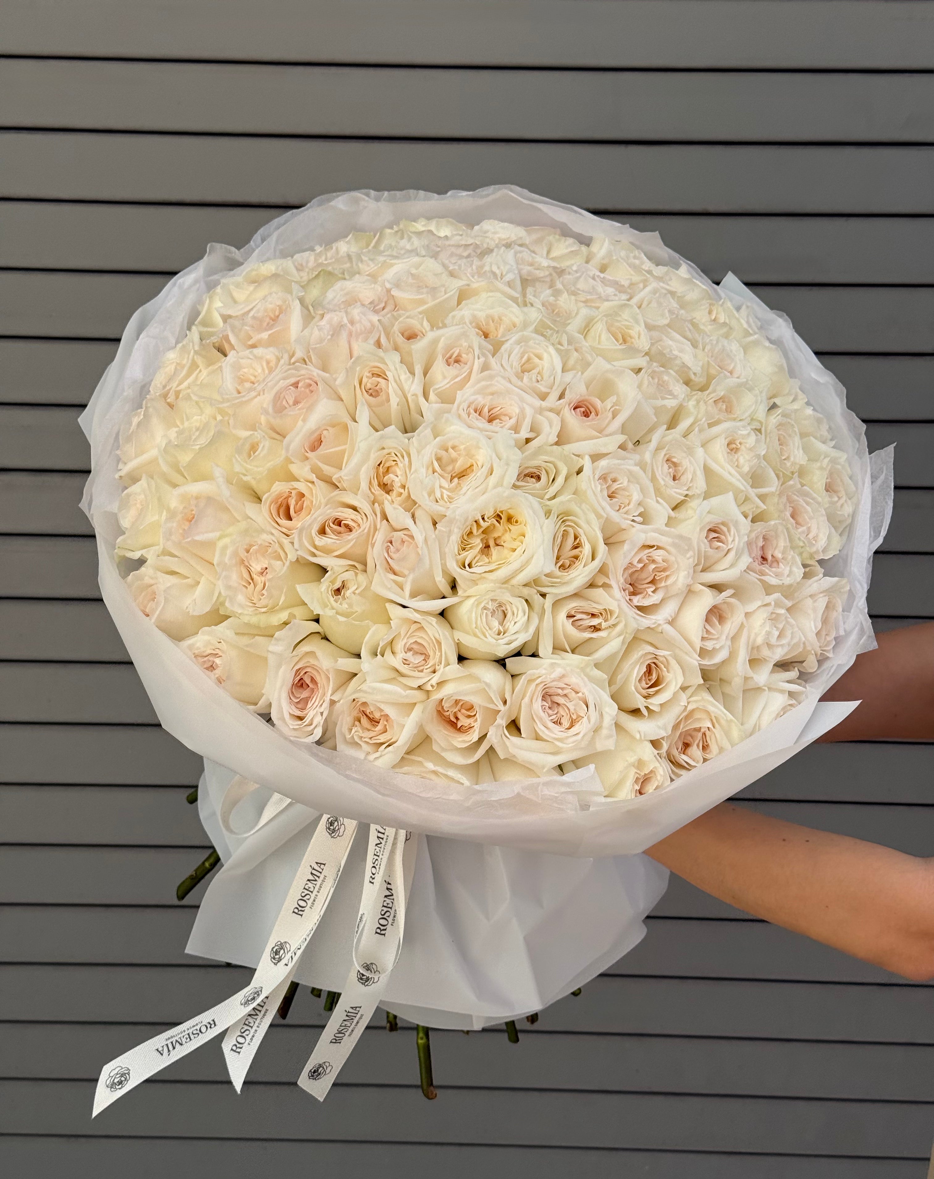 No. 240 SIGNATURE 100 OHARA - garden roses – Rosemia