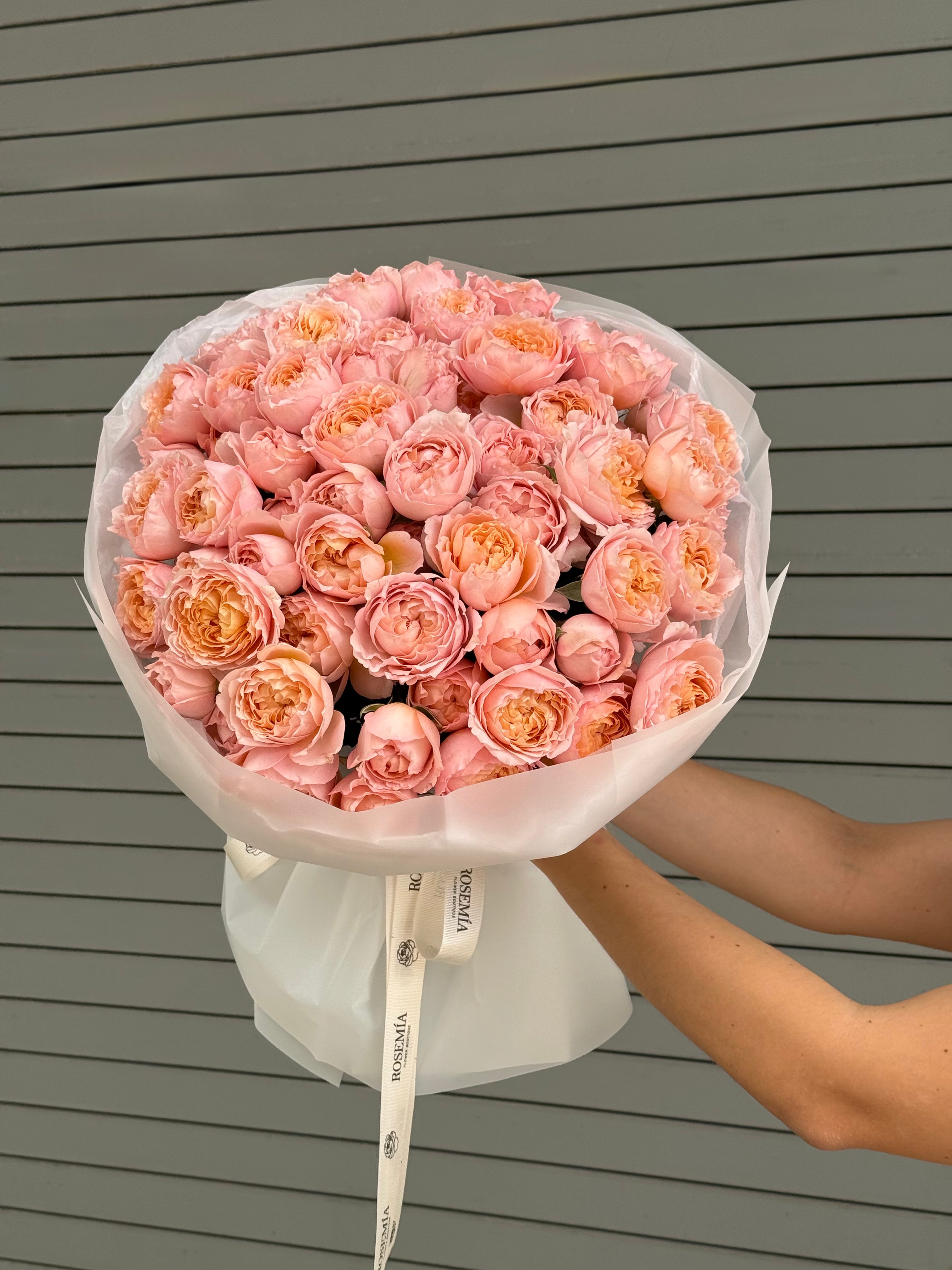 N.º 171 JULIETTE ROSES