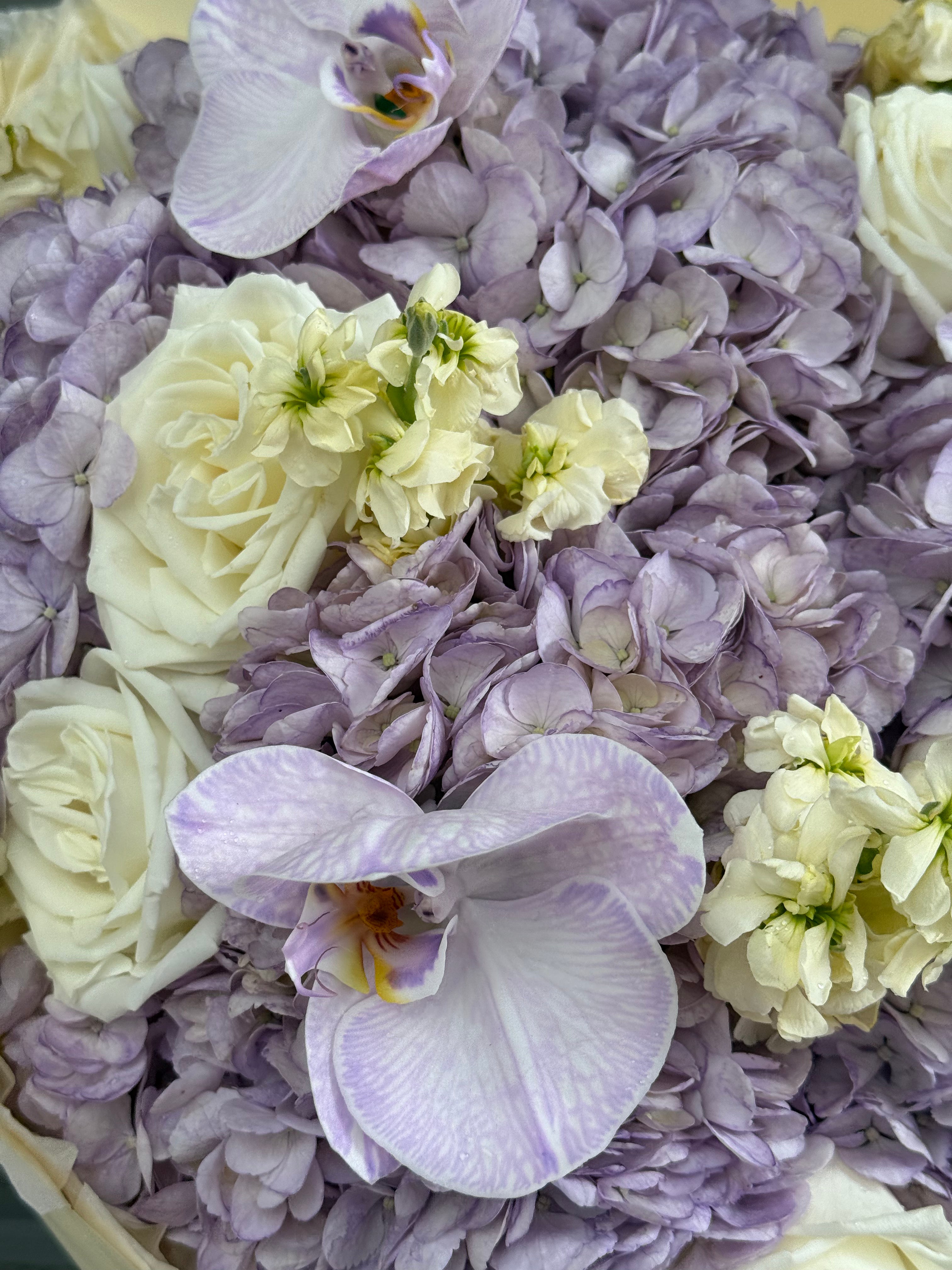 No.232 PASTEL JARDÍN