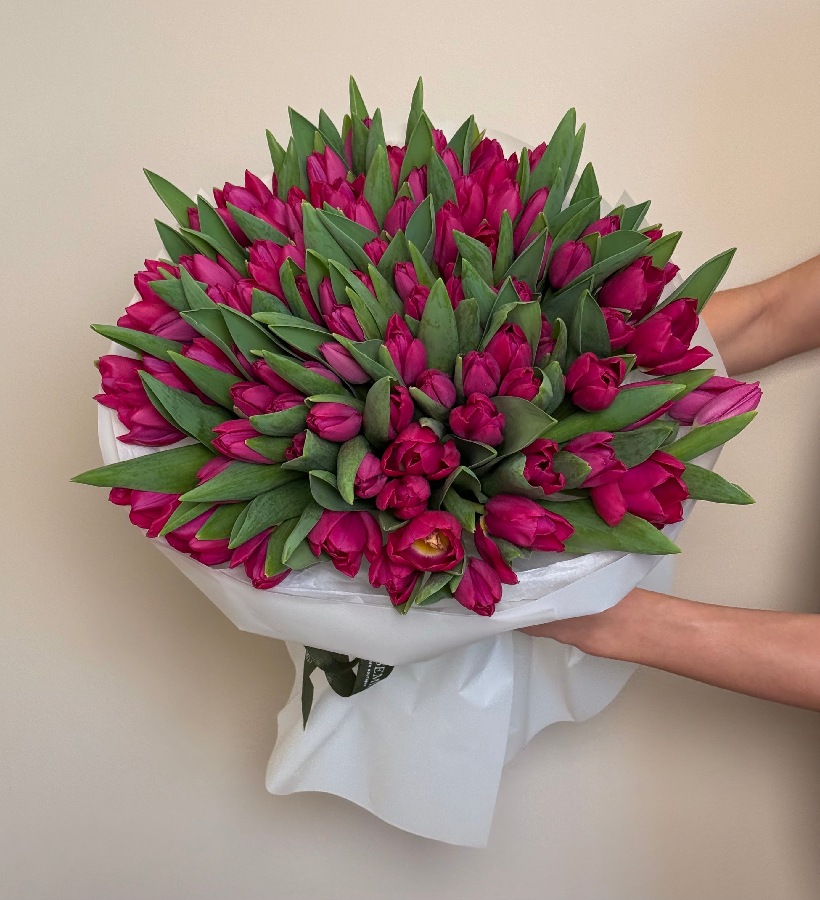 No.192 HOT PINK TULIPS