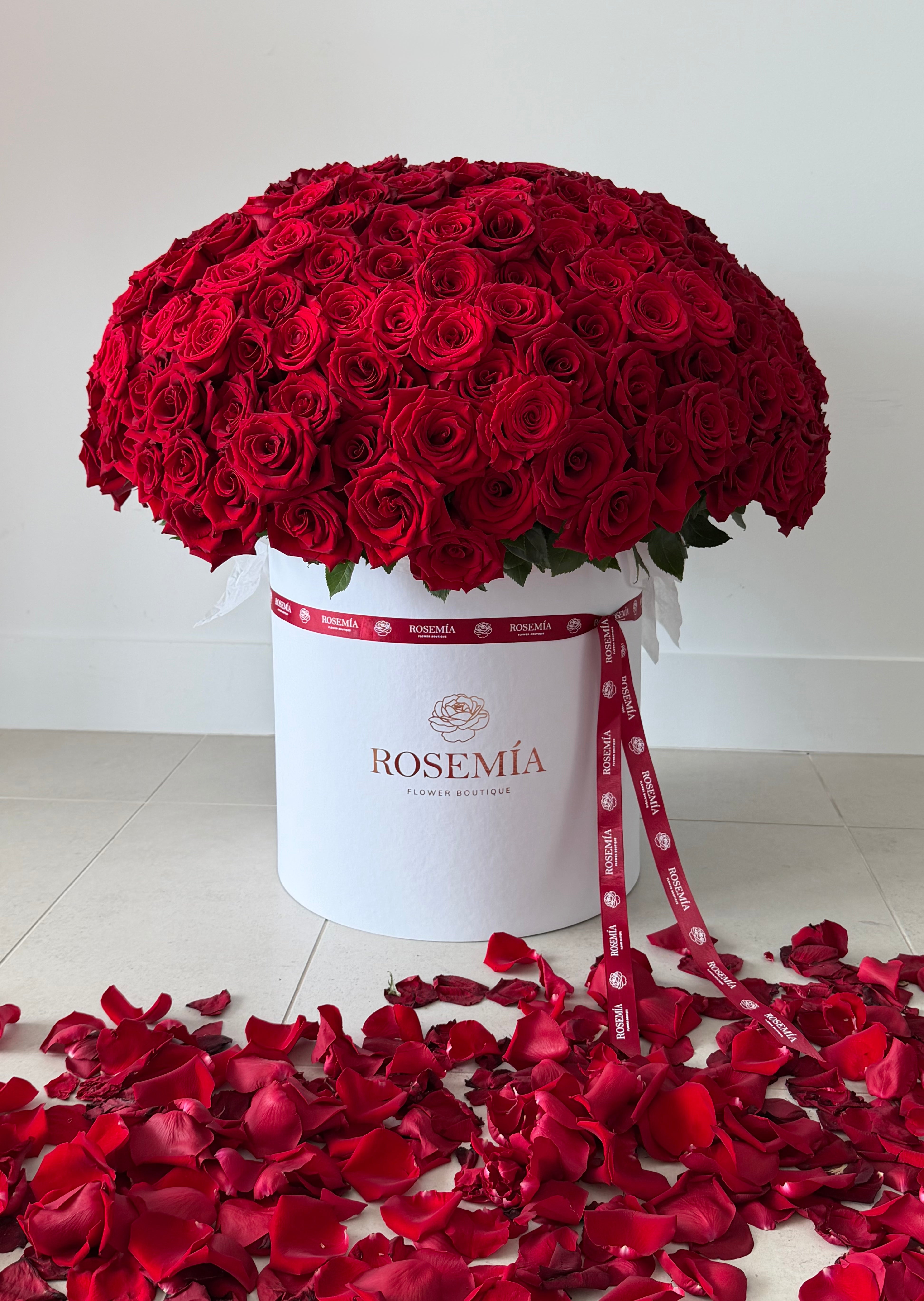 WOW RED ROSES BOX – 300 Roses