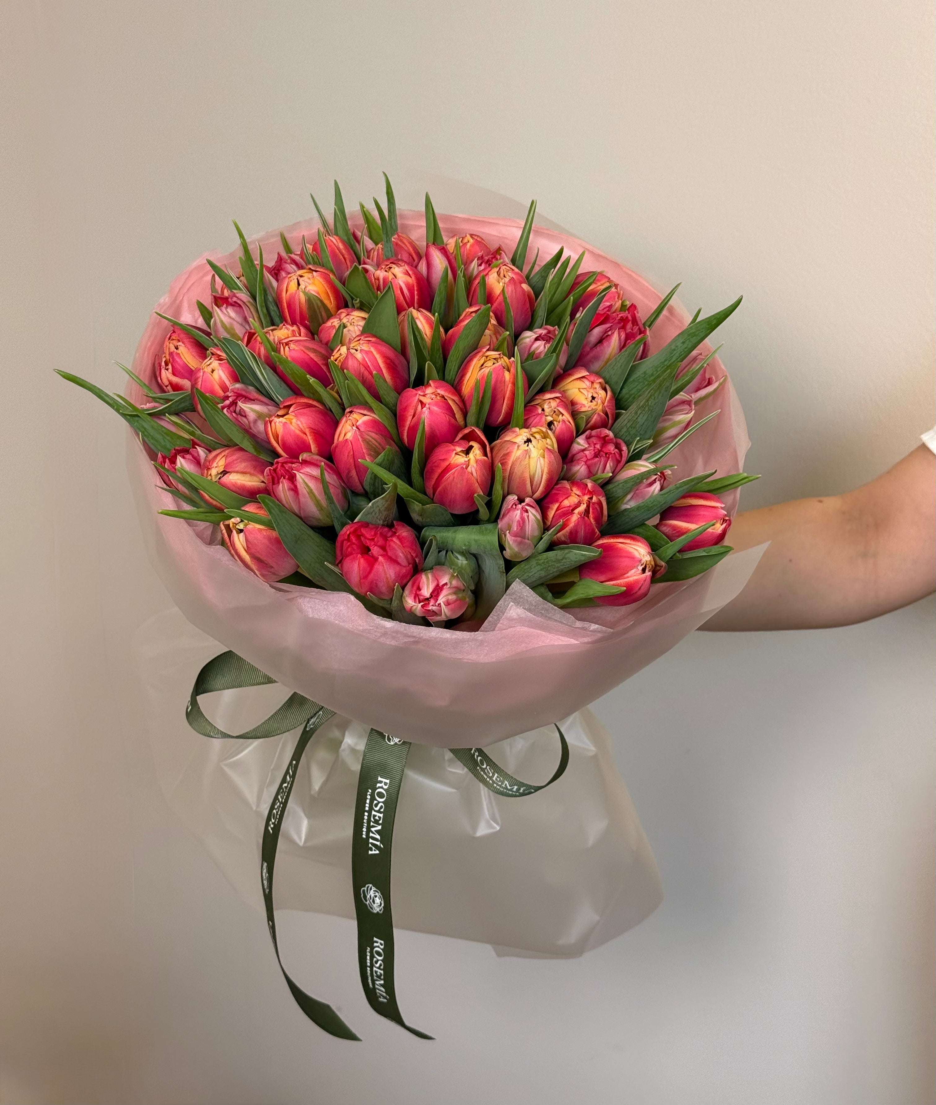No.205 CORAL BLOOM - tulips