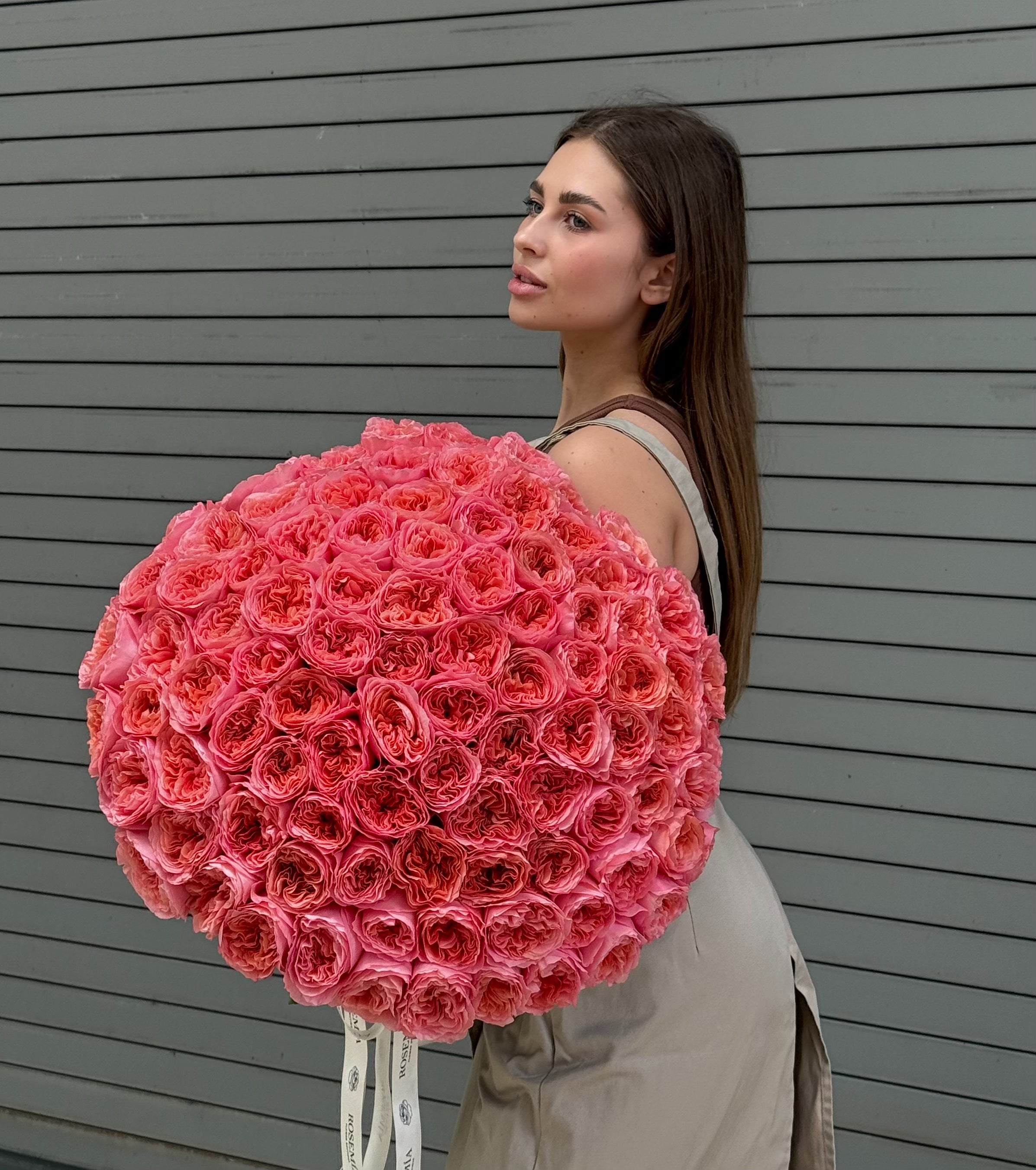 No.223 CANDY - 100 garden roses