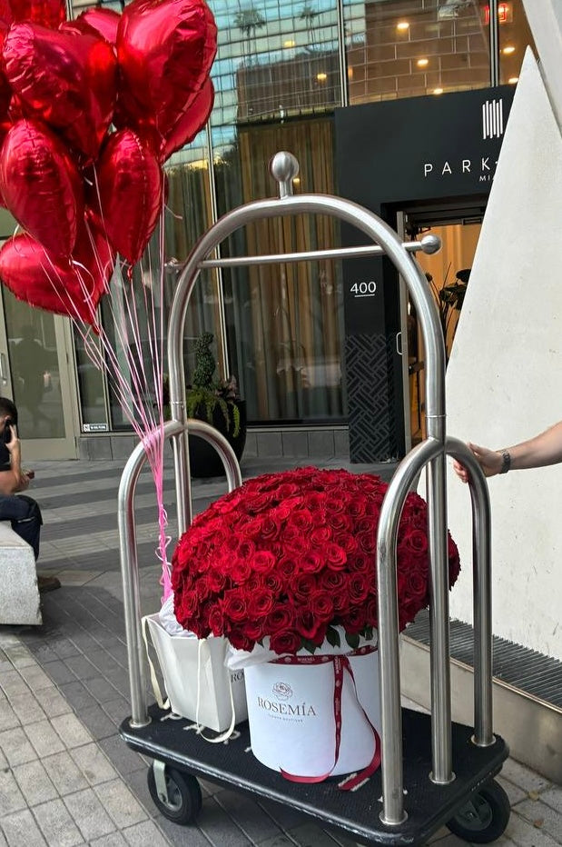 WOW RED ROSES BOX – 300 Roses