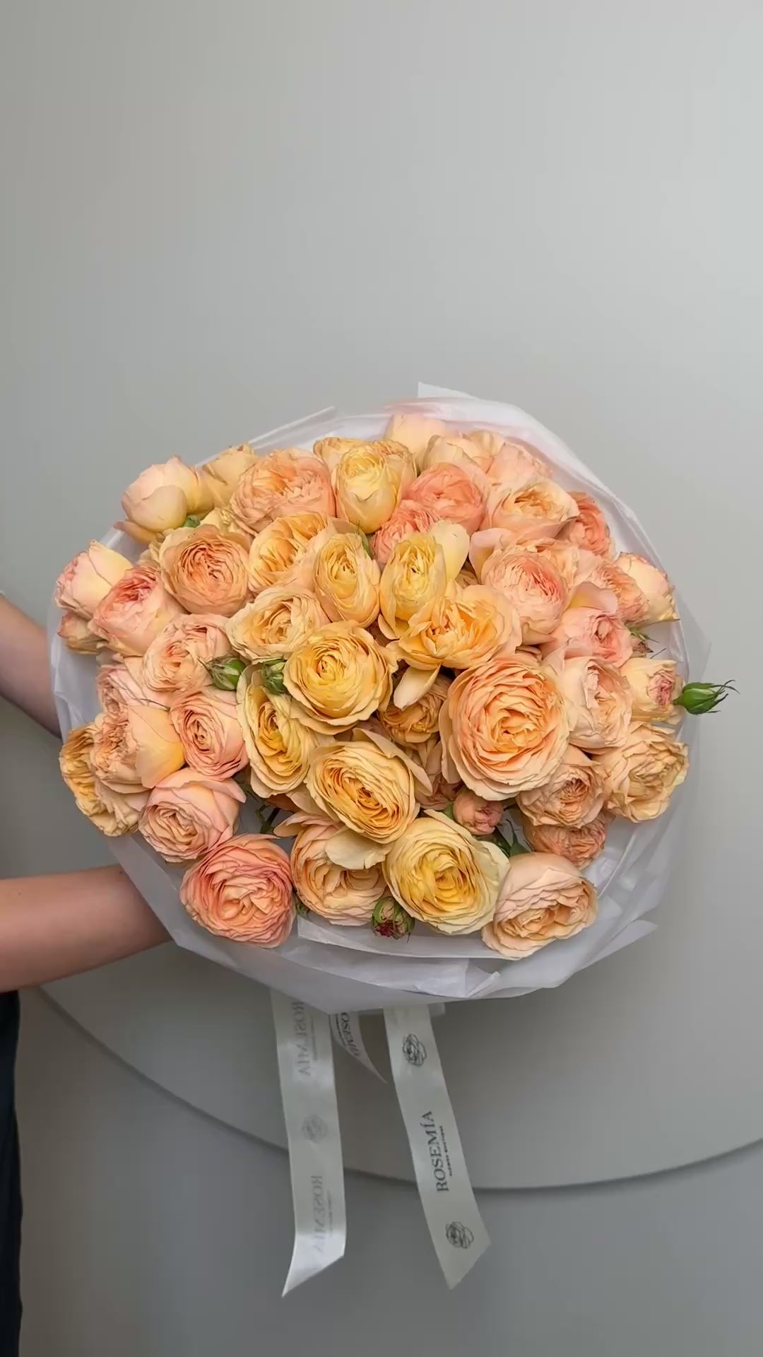 No. 41 APRICOT GLOW
