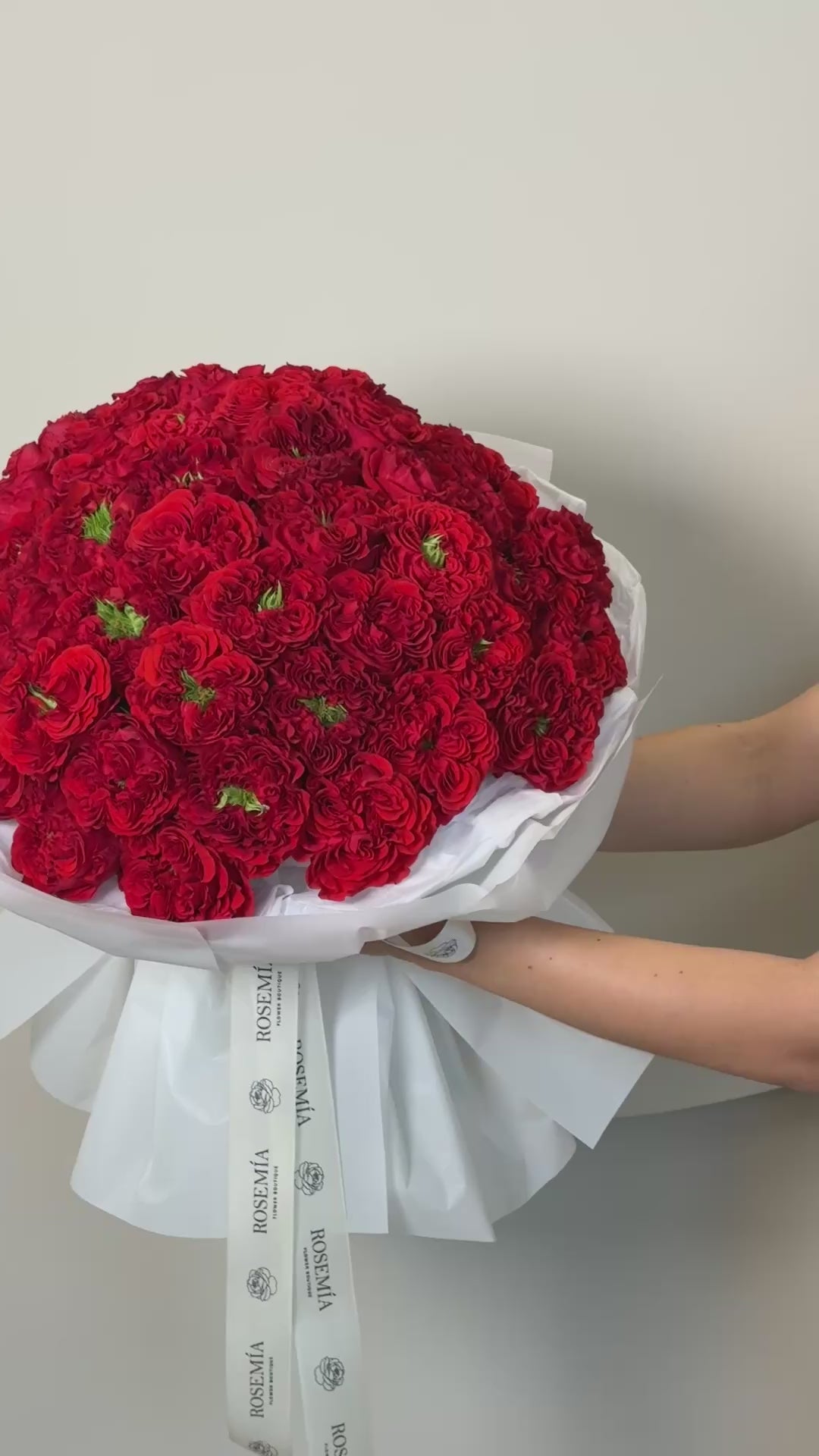 No. 63 RED VELVET