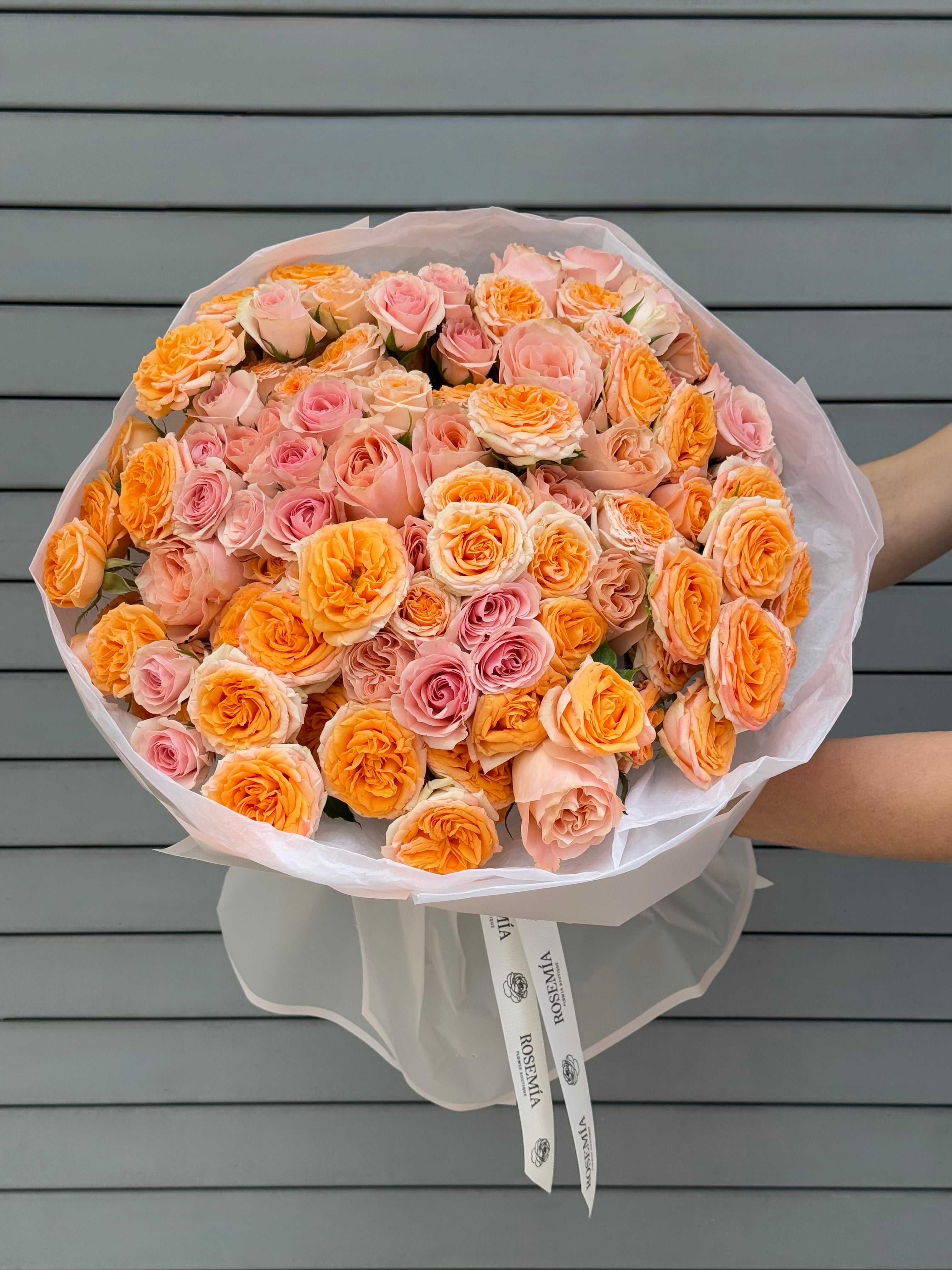 No.257 APRICOT ROSÉ - garden rose, spray rose