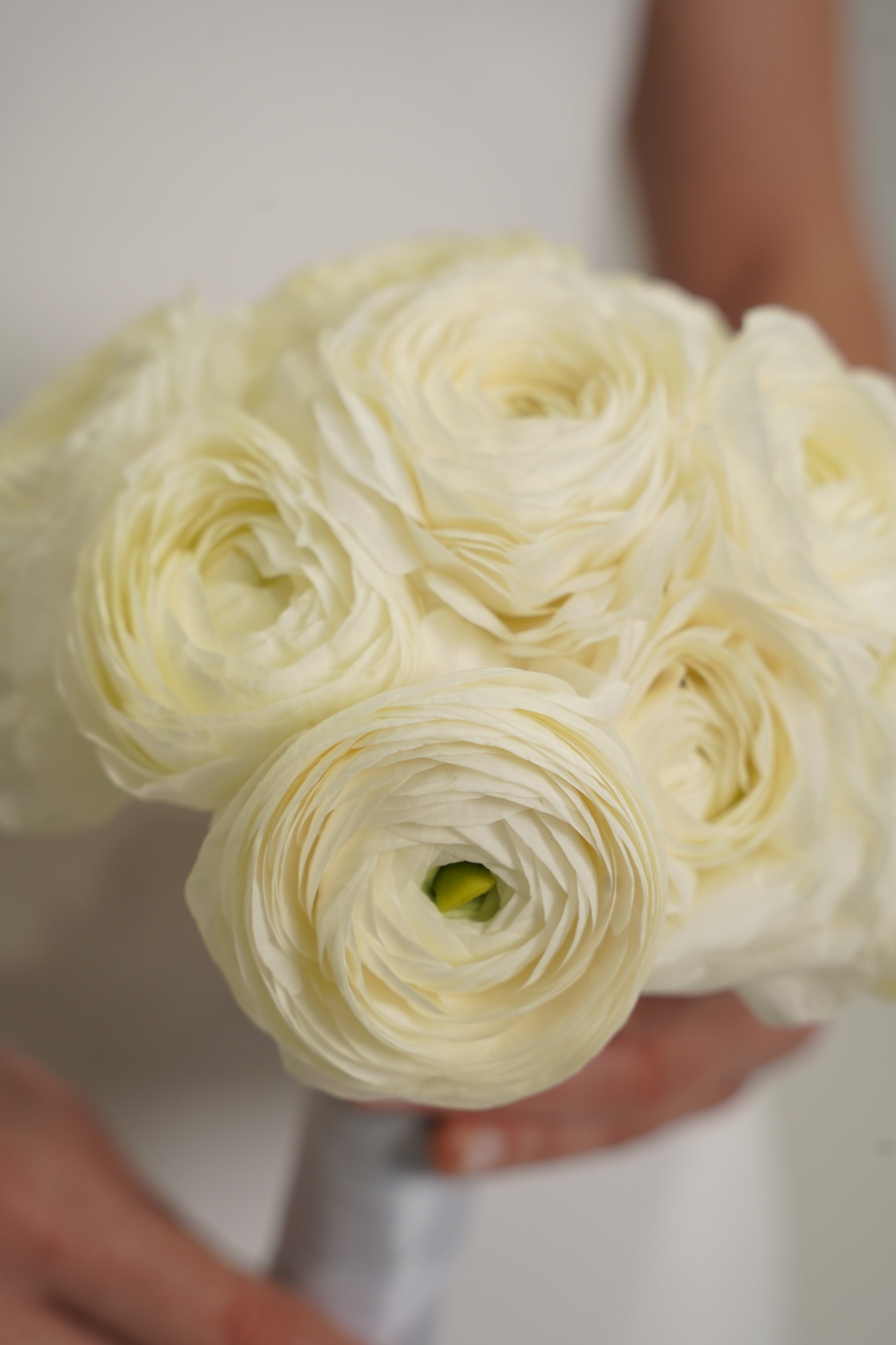 Wedding Collection