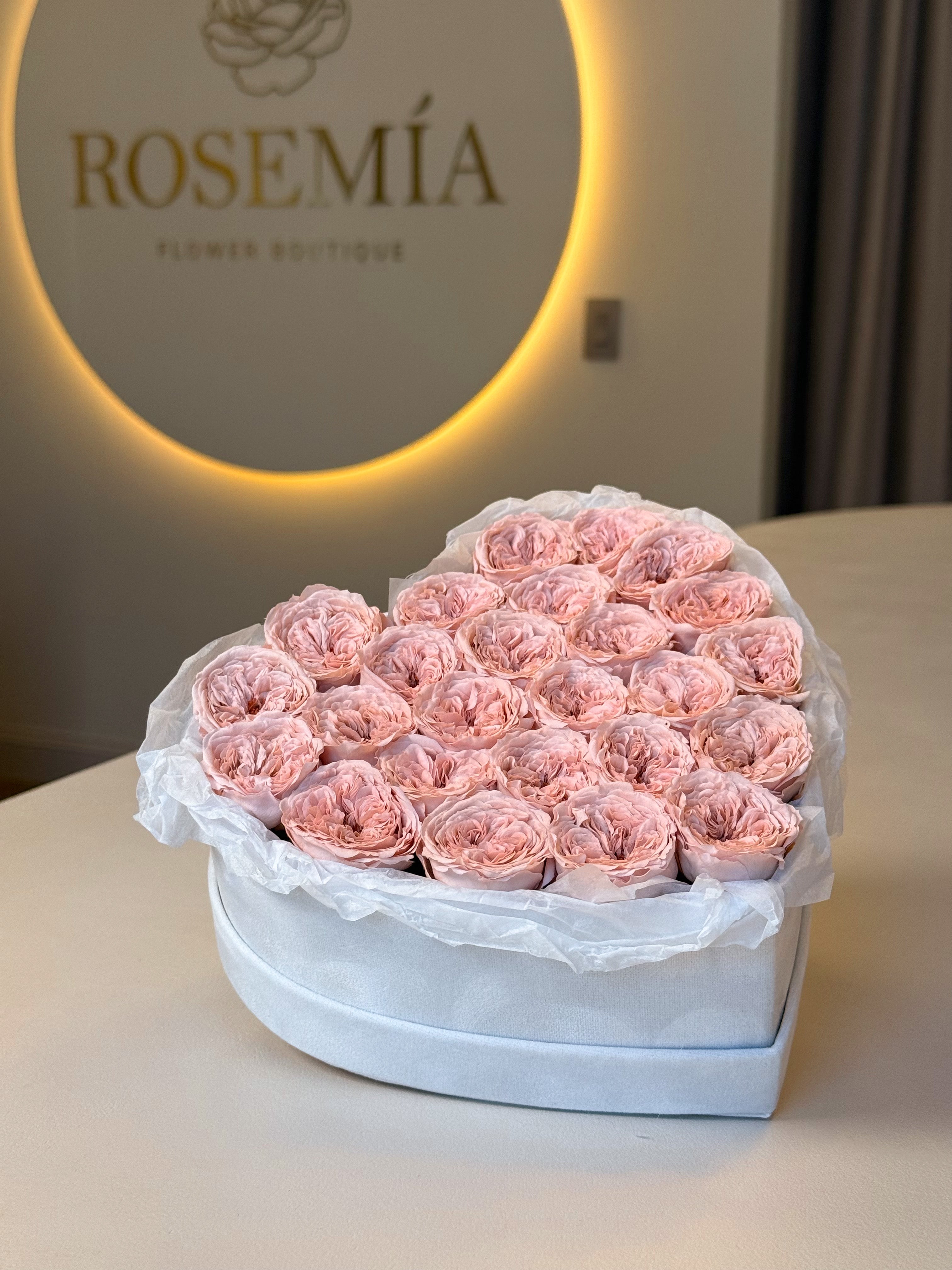 Eternal Blush Heart No.98 – Preserved Rose Hollywood, FL – Rosemia