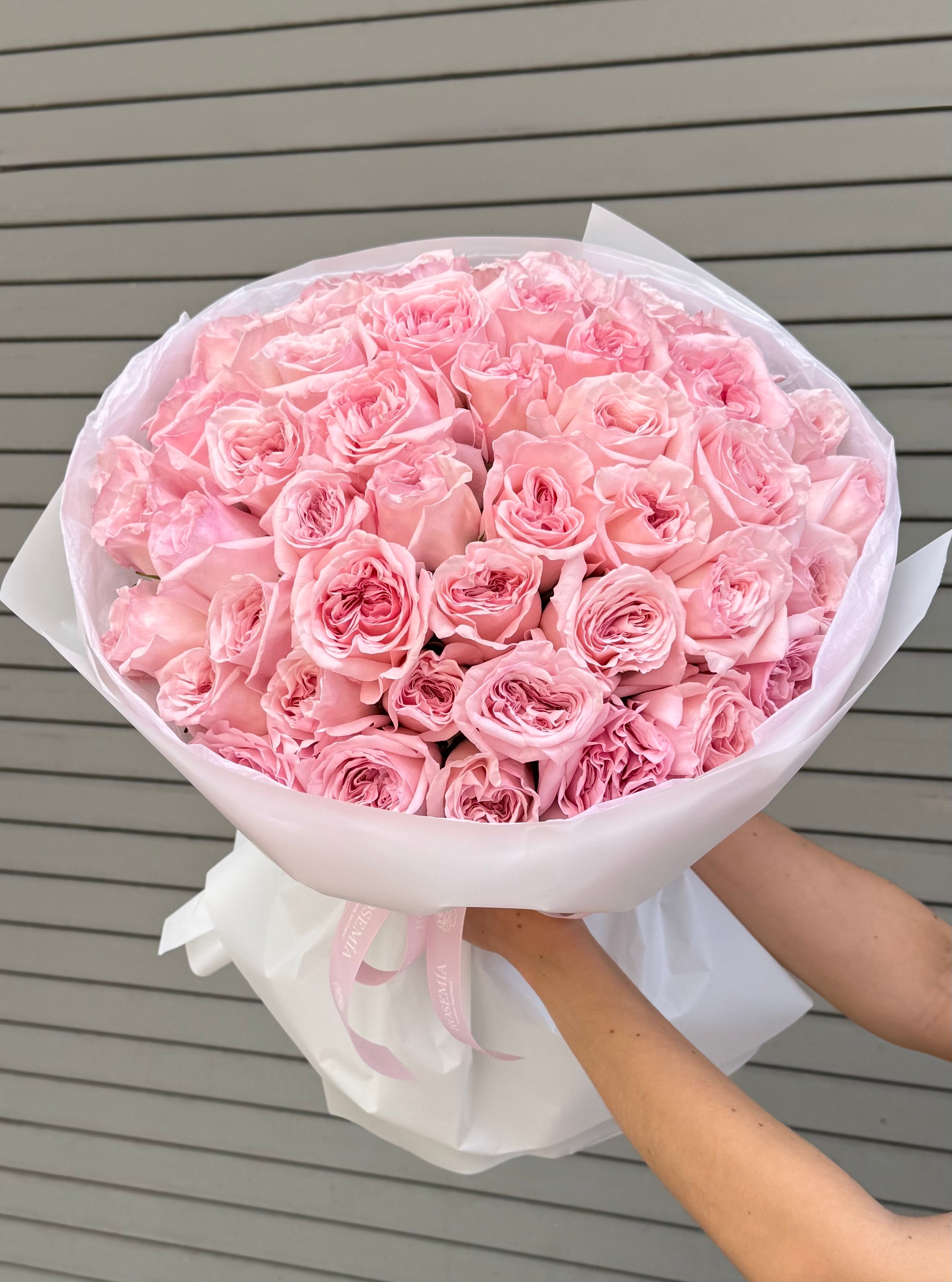 No.66 IMPERIAL PINK - garden roses ohara