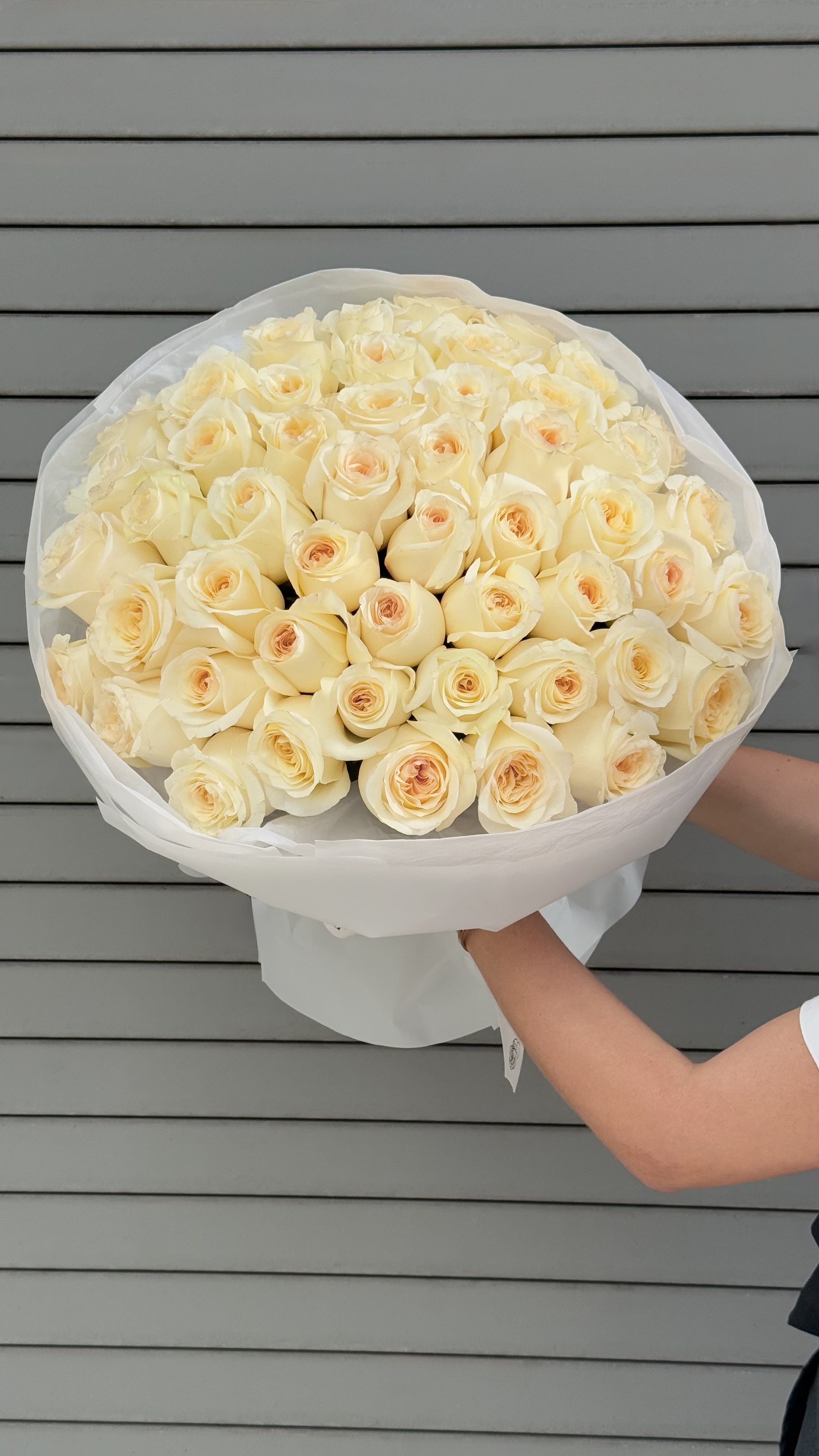 No.12 IVORY - white roses
