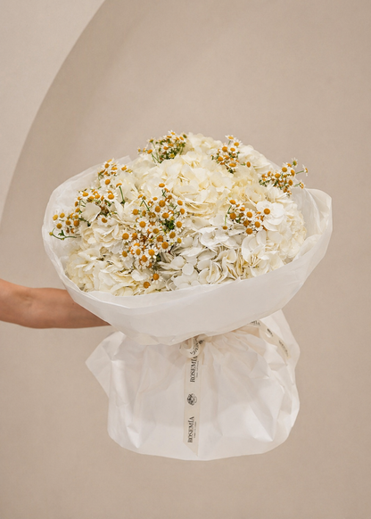 No.228 CHAMOMILE GRACE - hydrangeas, chamomile