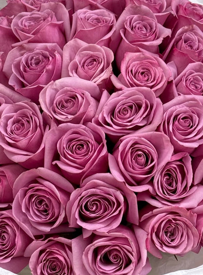 Nro. 150 ROSA ABRAZO