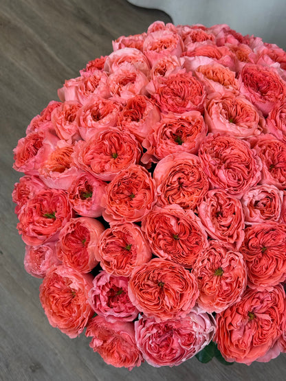 No.149 CORAL ROYALE BASKET