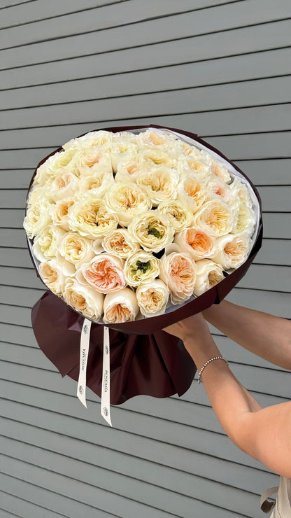 No.245 VICKY GARDENS - garden roses