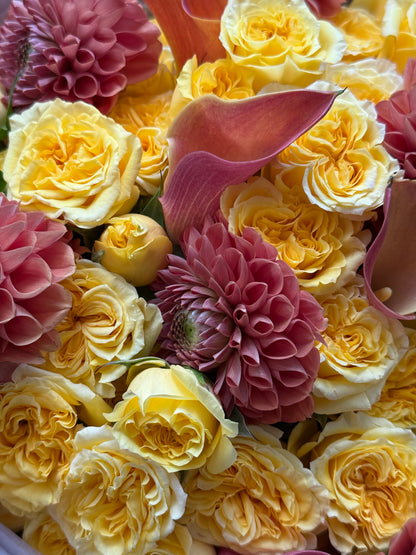No.41 APRICOT CHARM - spray roses