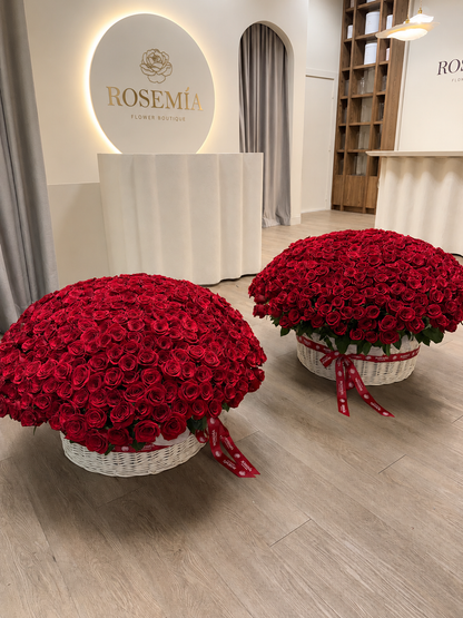 500 Red Roses Grand Basket