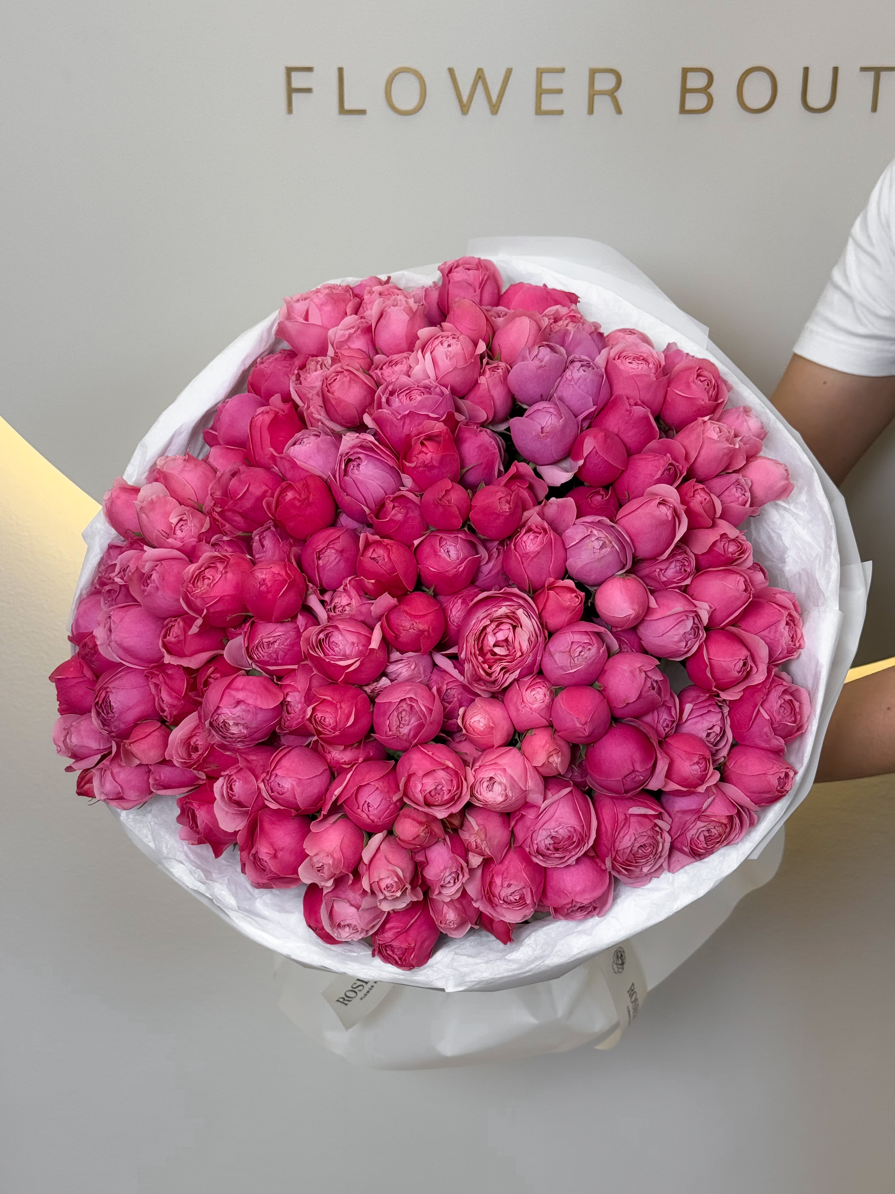 No.174 SILVA ROSAS