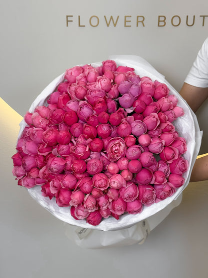 No.174 SILVA ROSAS