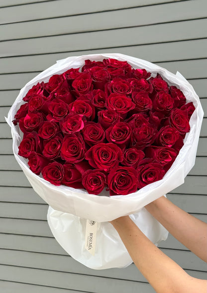 No.90 RED PANTHER - roses