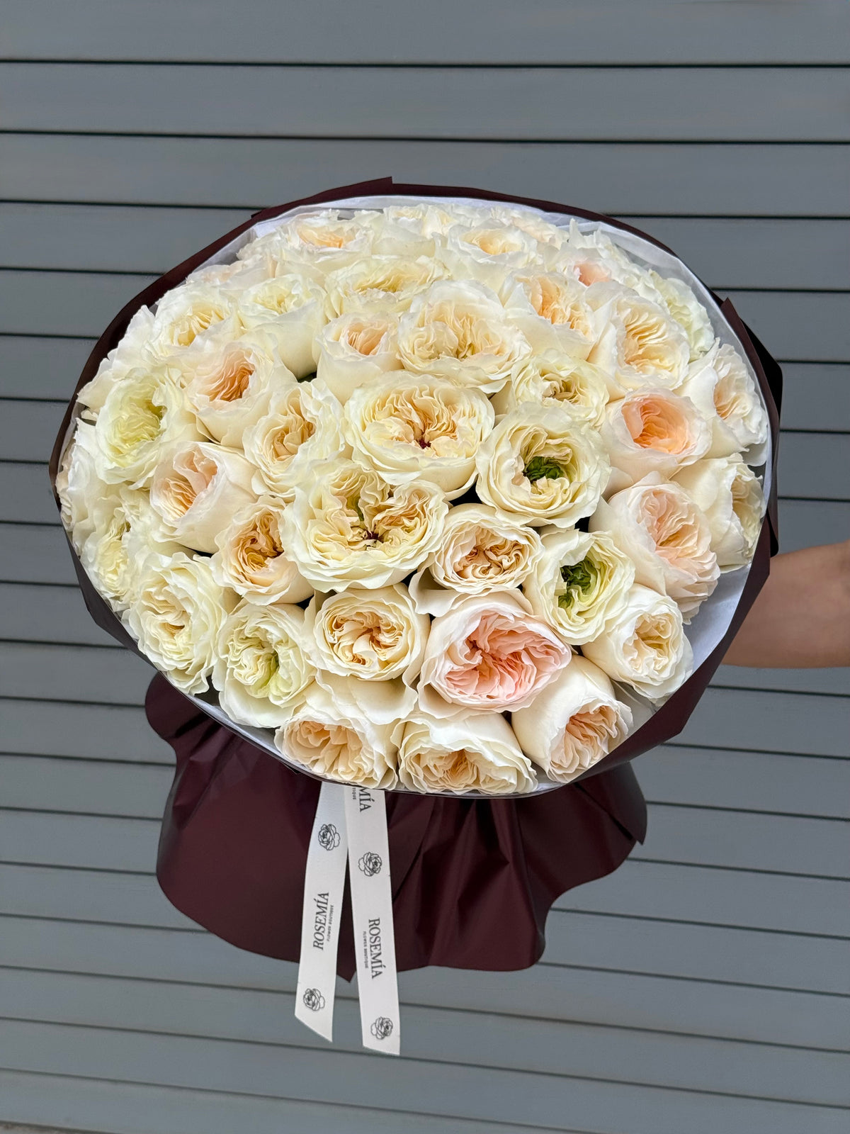 No.245 VICKY GARDENS - garden roses