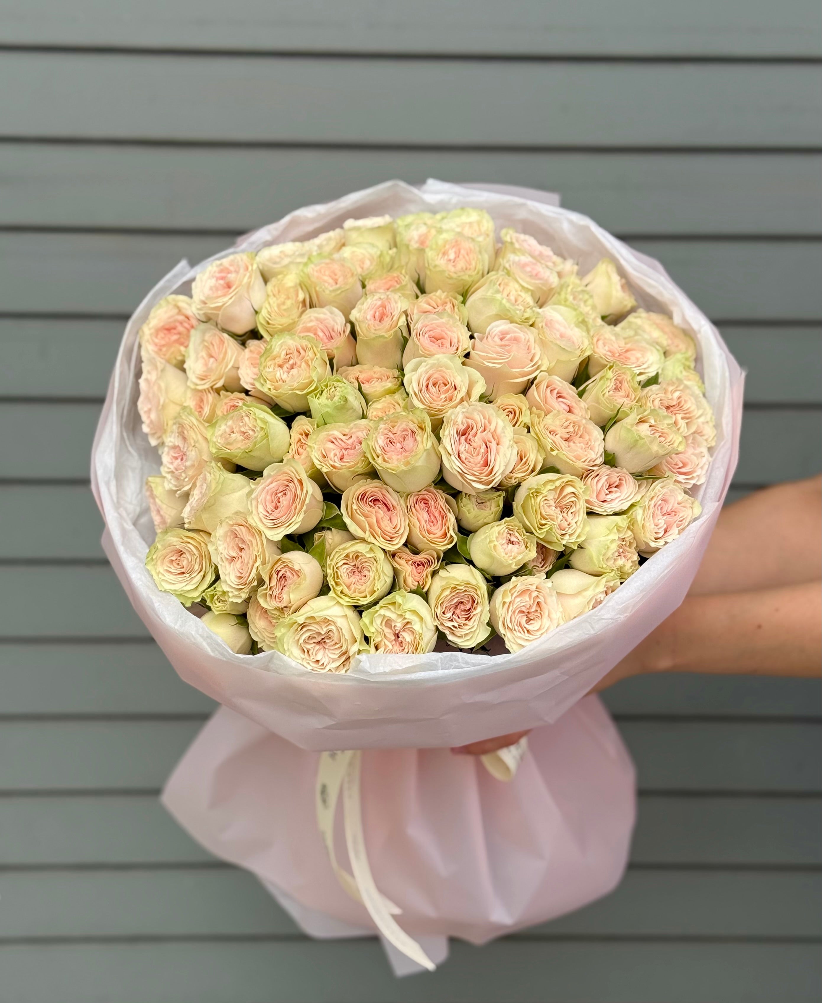 No.50 LOLLY DOLLY - garden spray roses