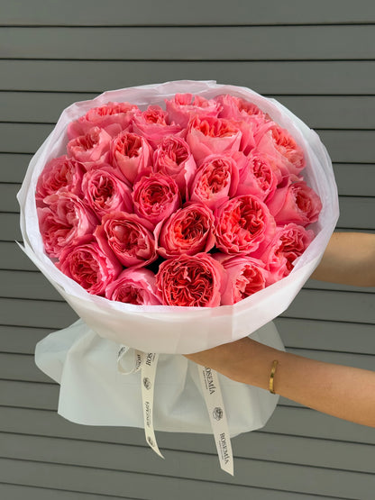 No.51 CANDY CORAL - garden roses