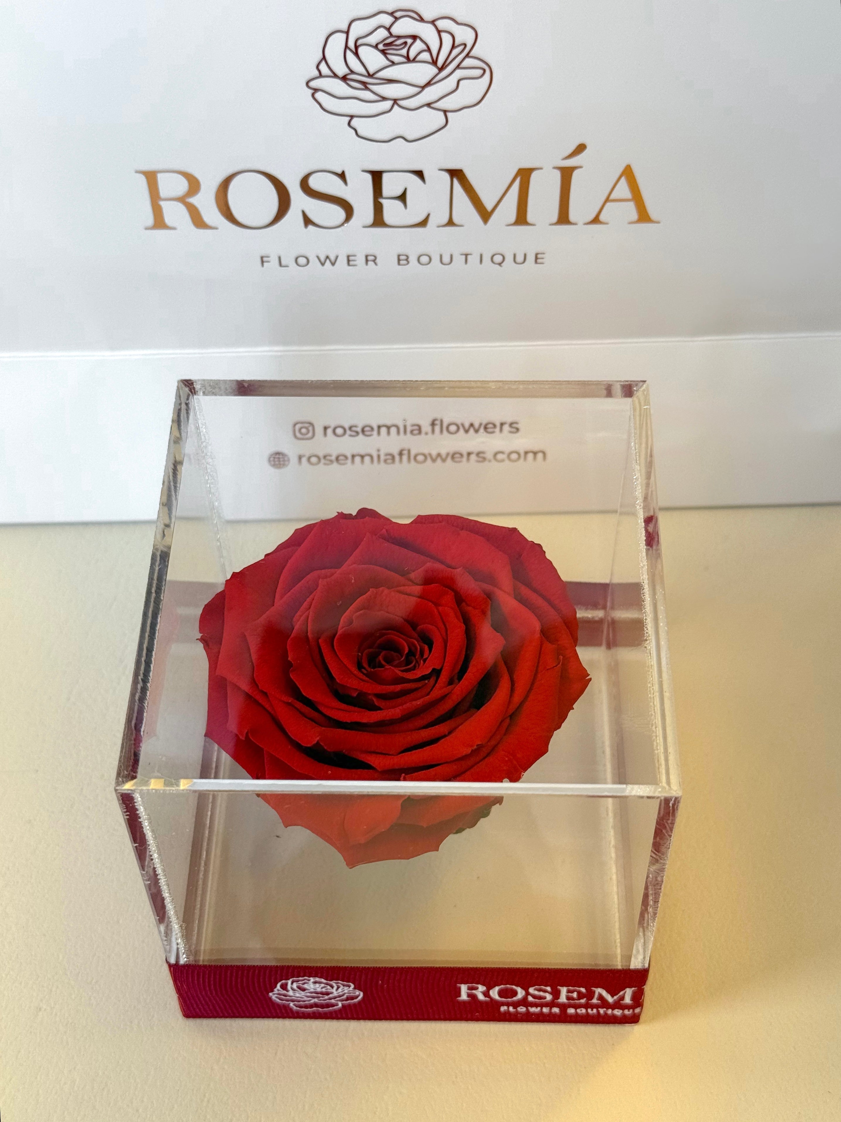 No.179 LOVE IN A CUBE